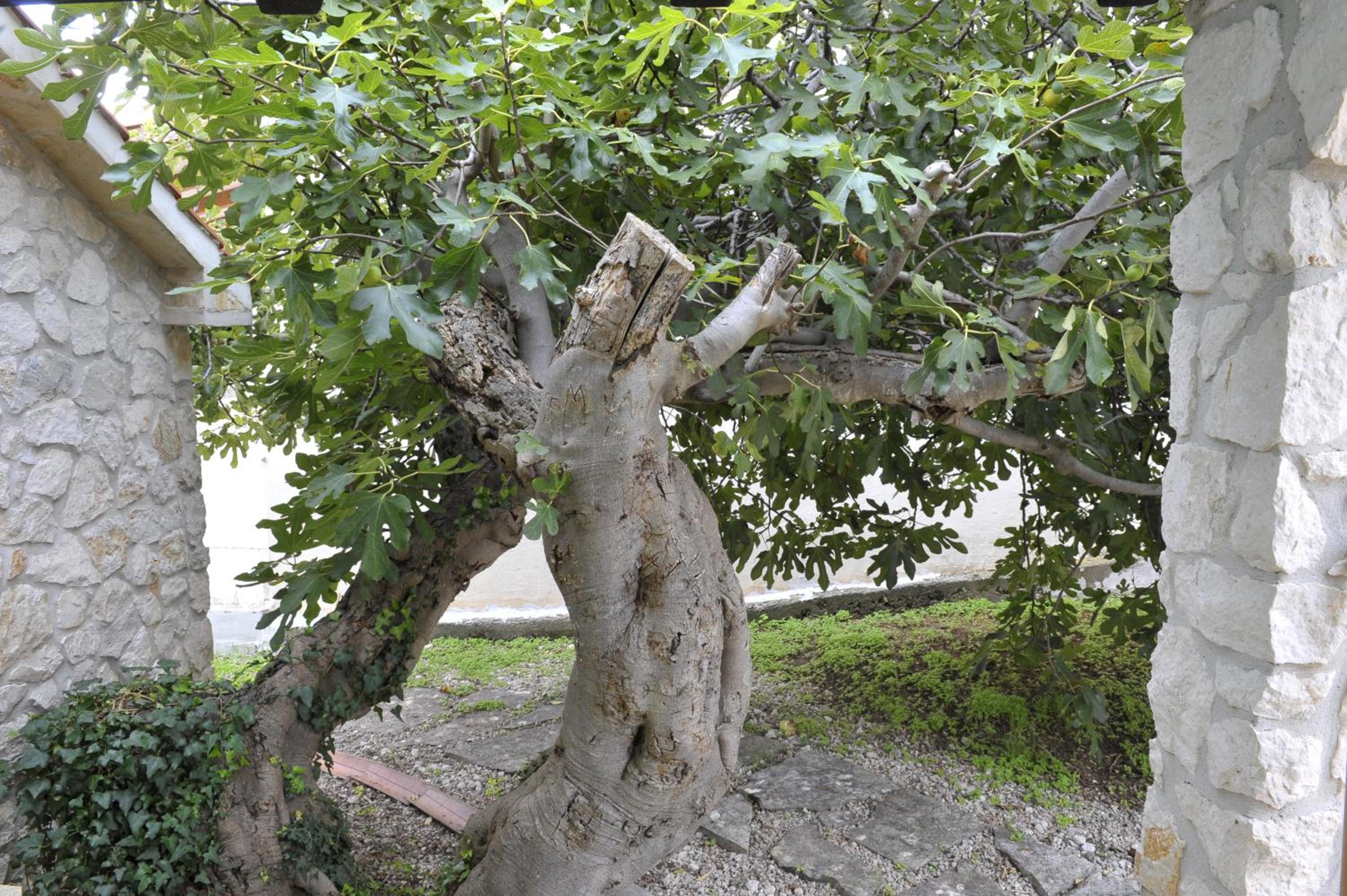 Photo 39