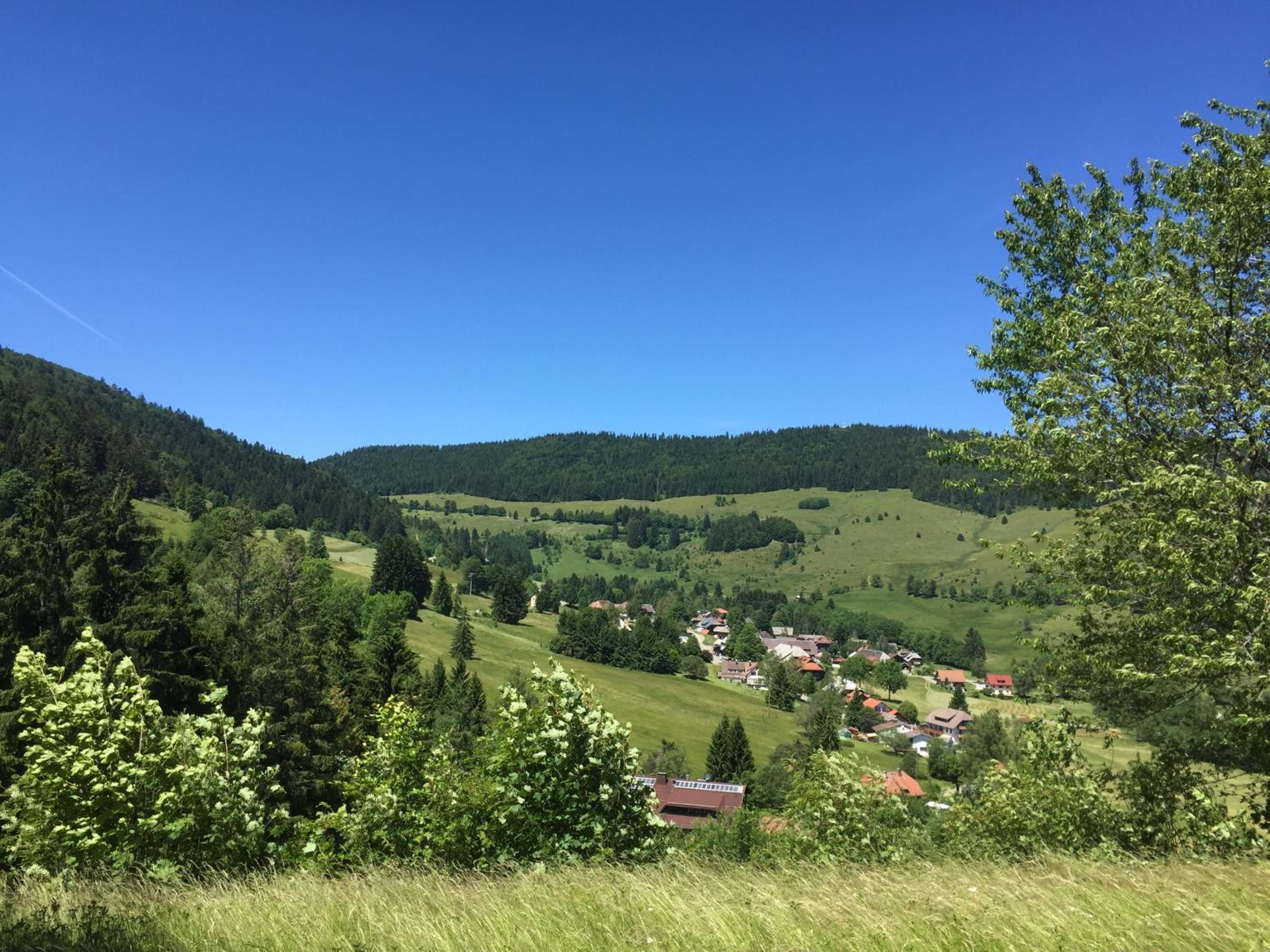 Photo 27