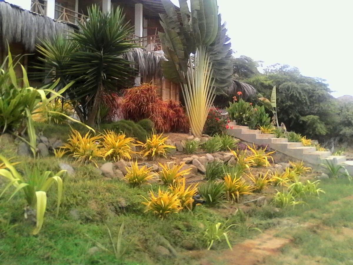 Photo 44