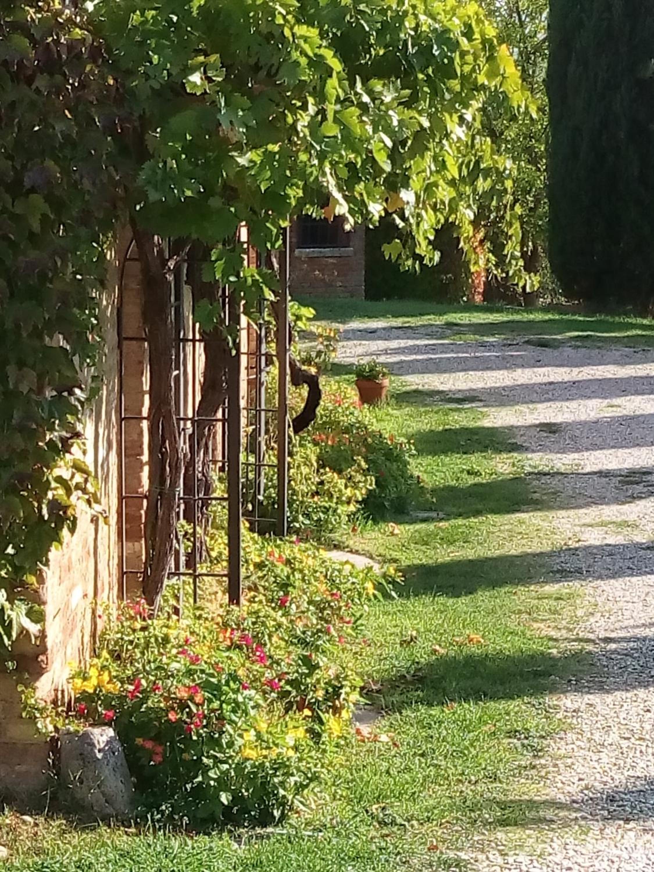 Podere Cartaio Bio Farm, private pool, AirC