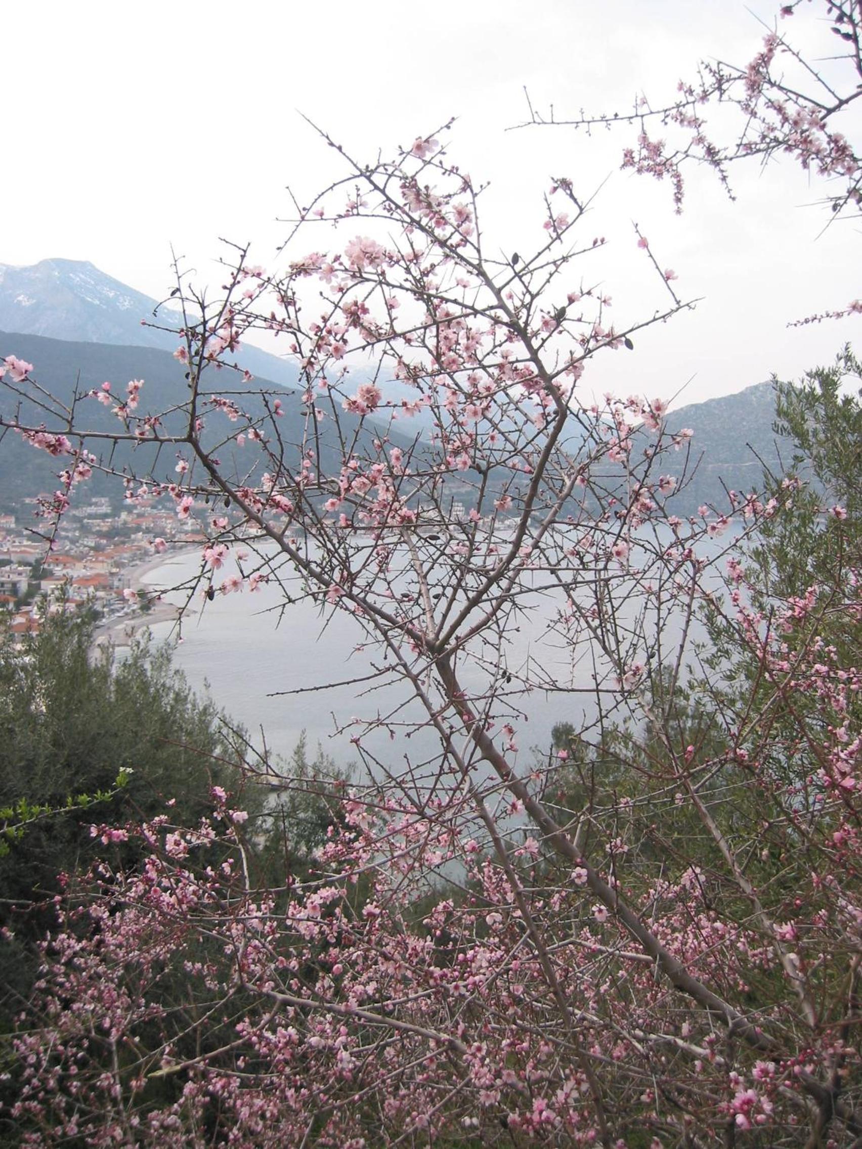Photo 29