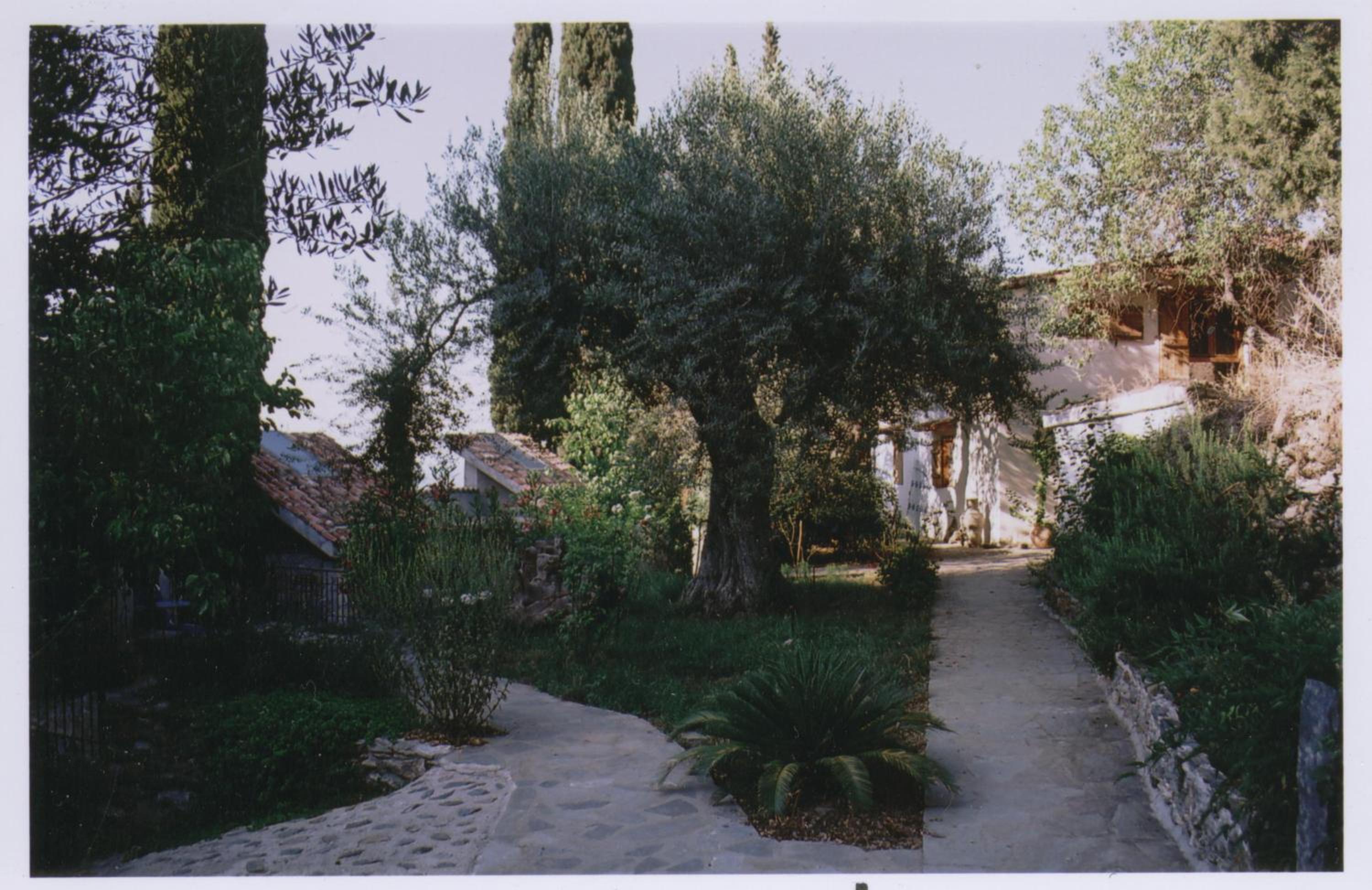 Photo 26