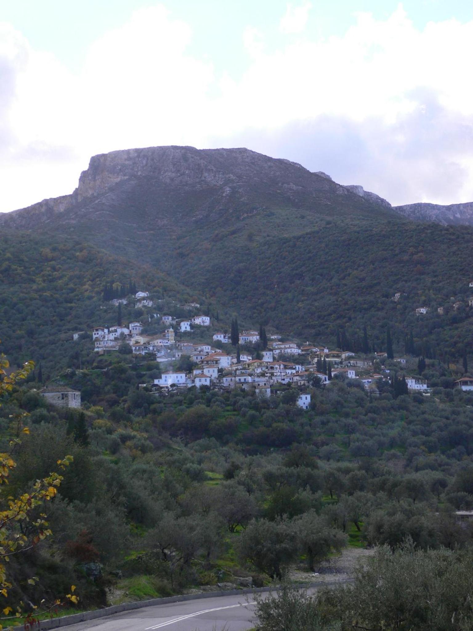 Photo 23