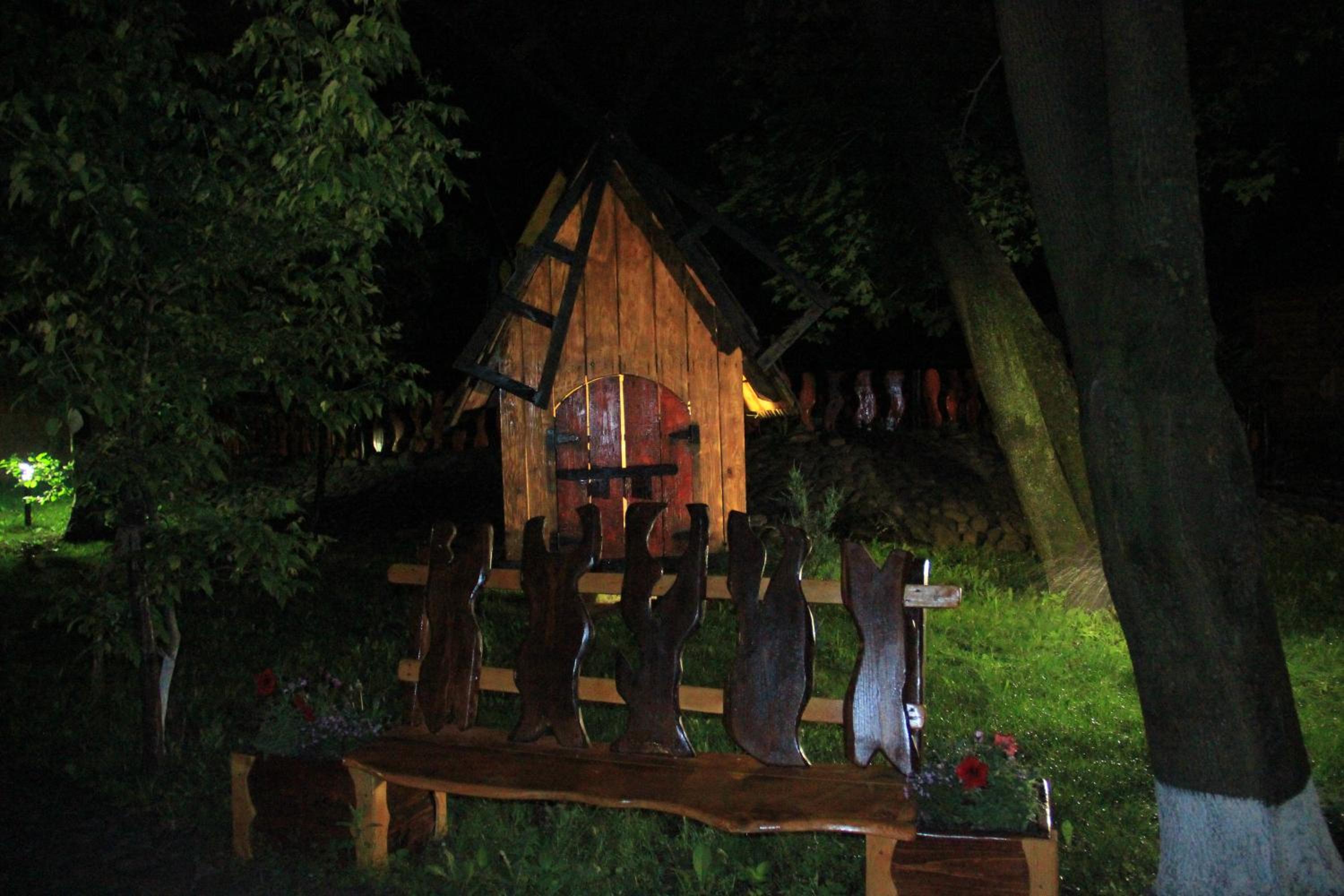 Photo 11
