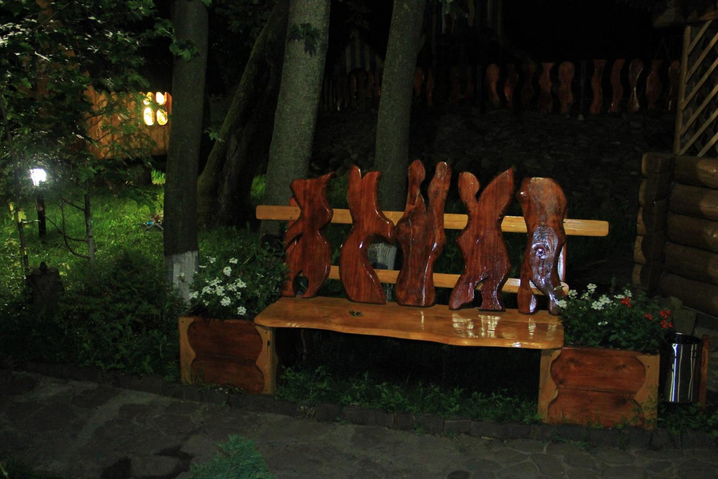 Photo 12