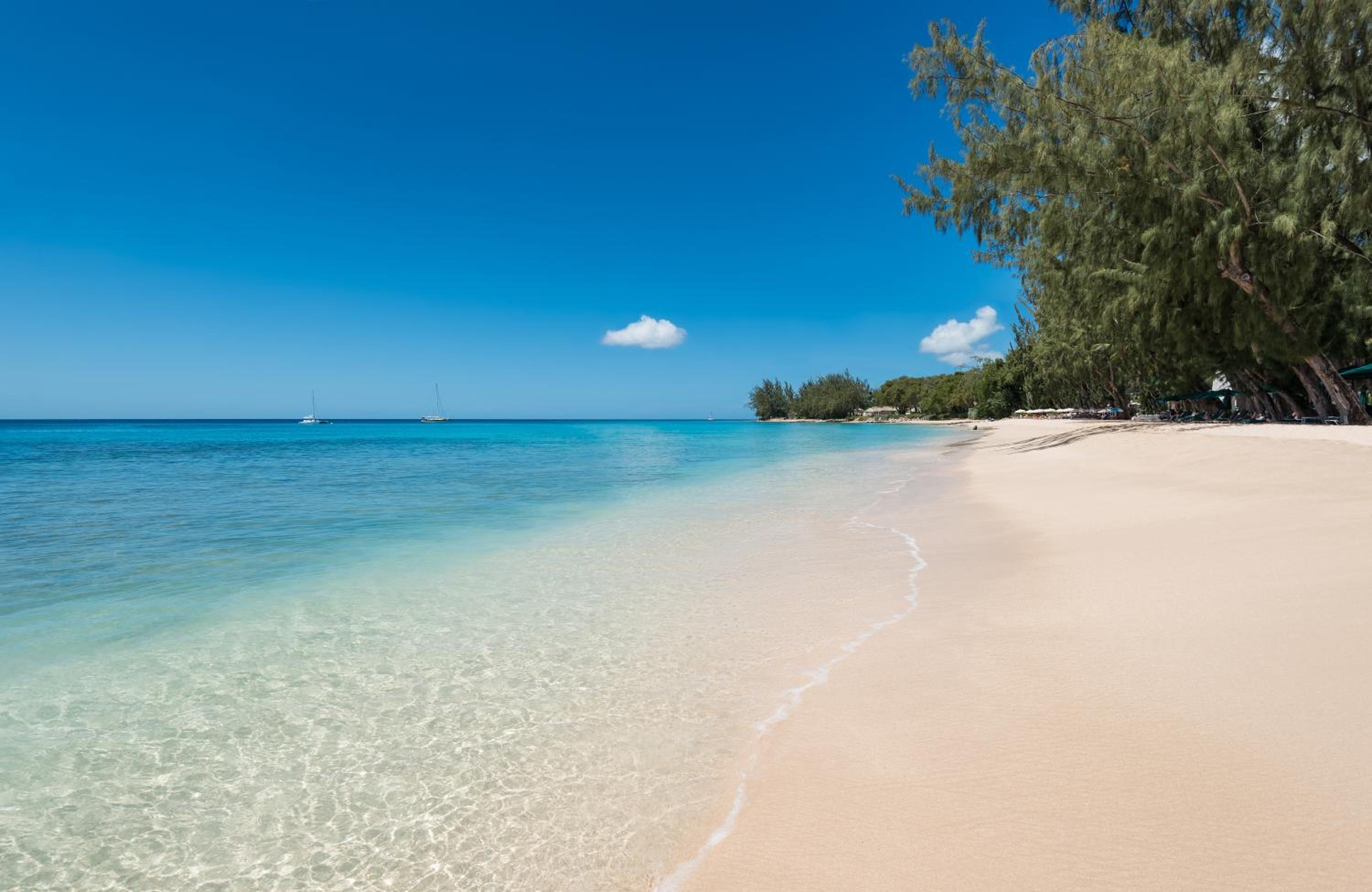 Coral Reef Club