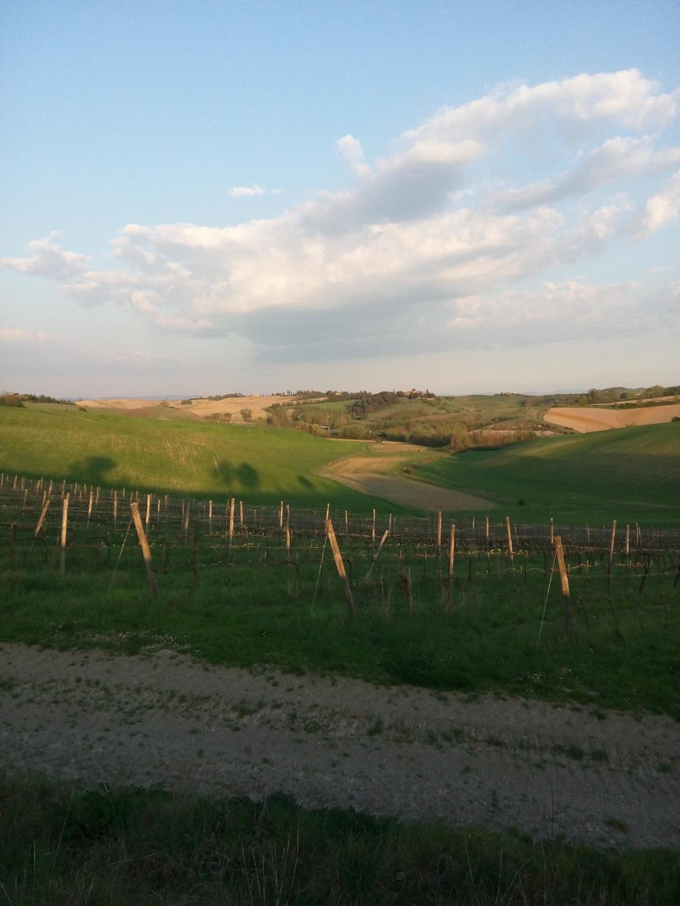Podere Cartaio Bio Farm, private pool, AirC