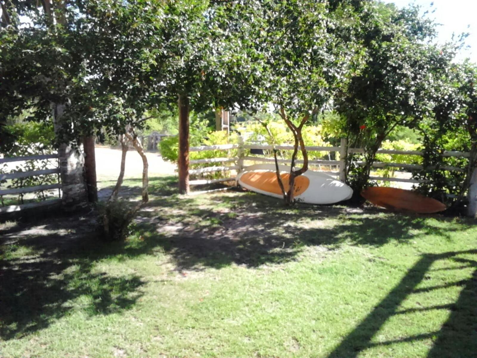 Photo 48