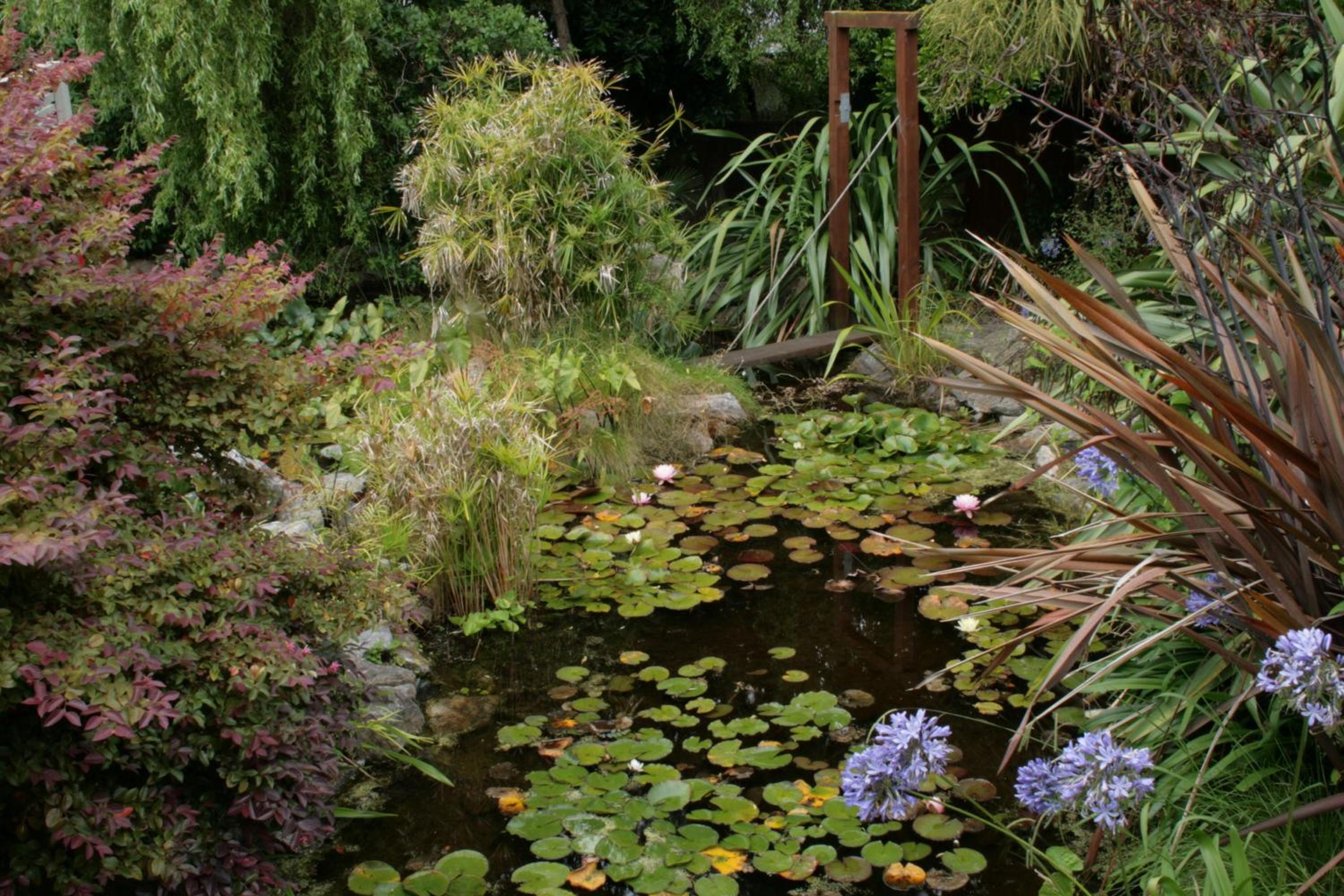 Joya Garden & Villa Studios