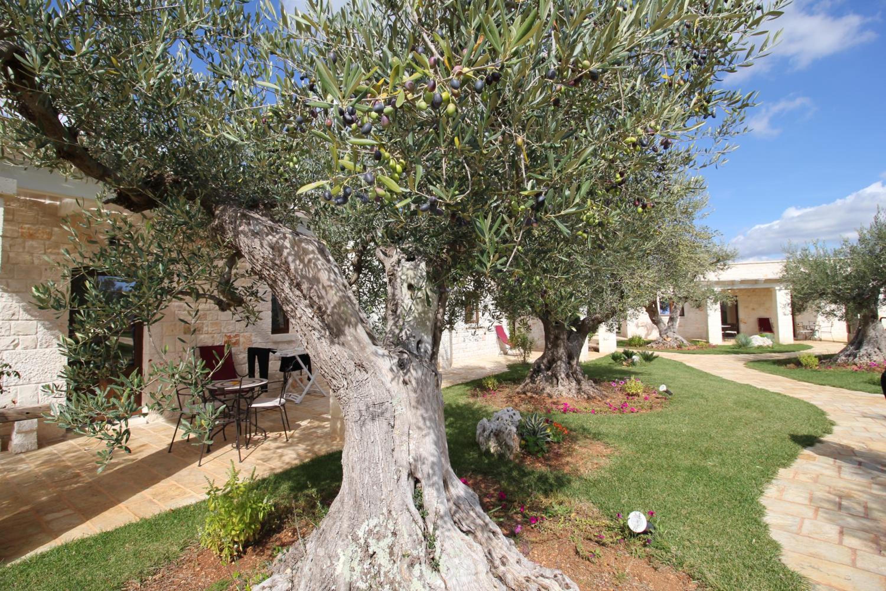 Il Gabellota Resort