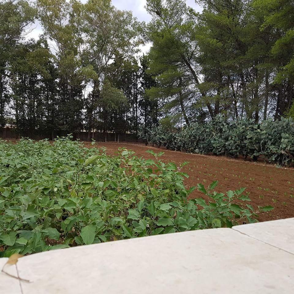Tenuta Guarascio