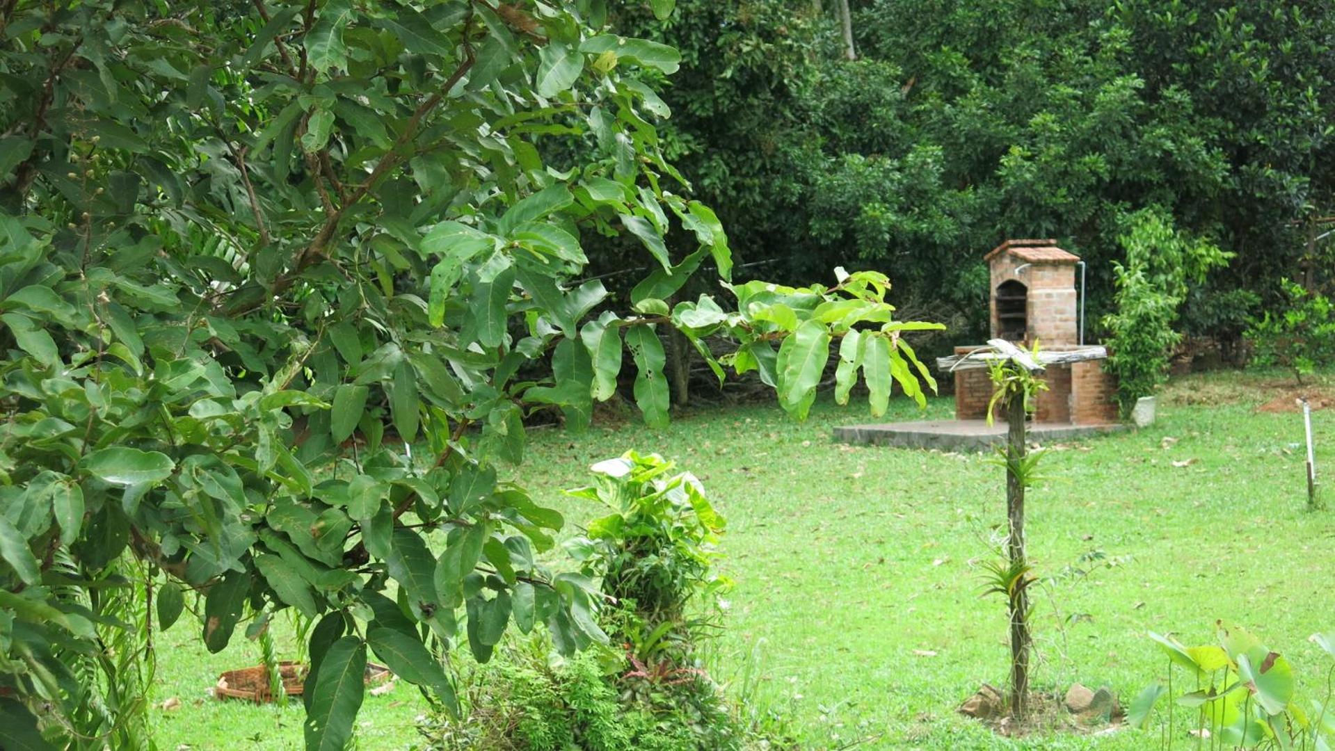 Photo 23