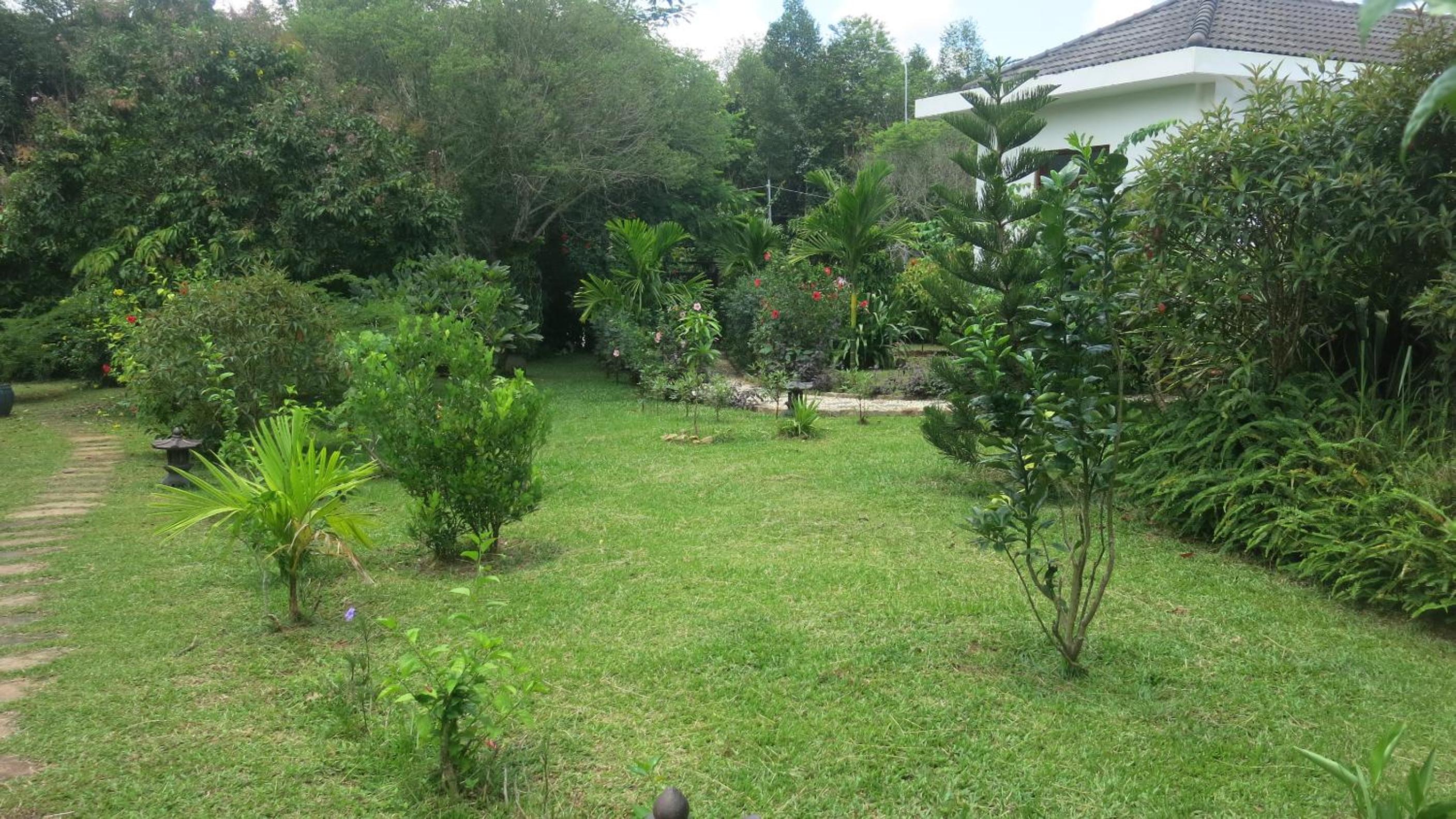 Photo 17