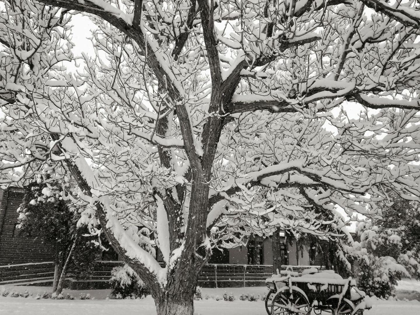 Photo 10
