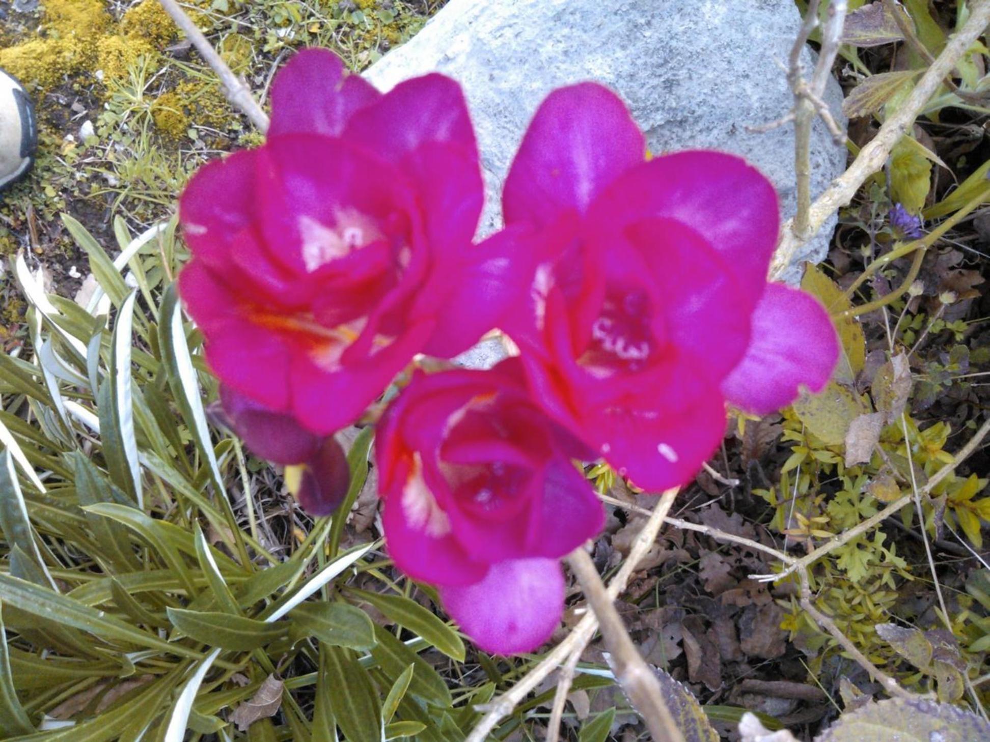 Photo 27