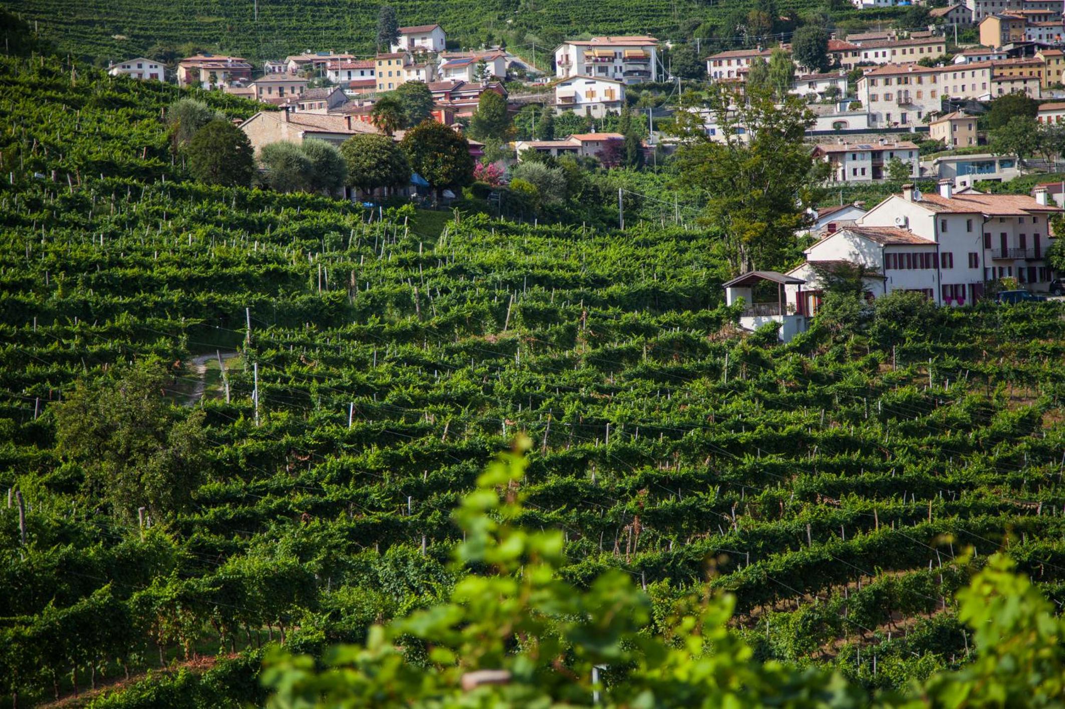 Agriturismo due Carpini