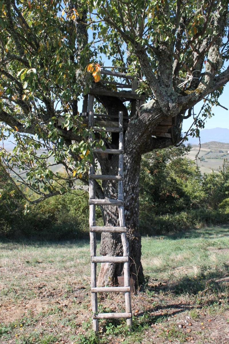 Il Podere Degli Artisti