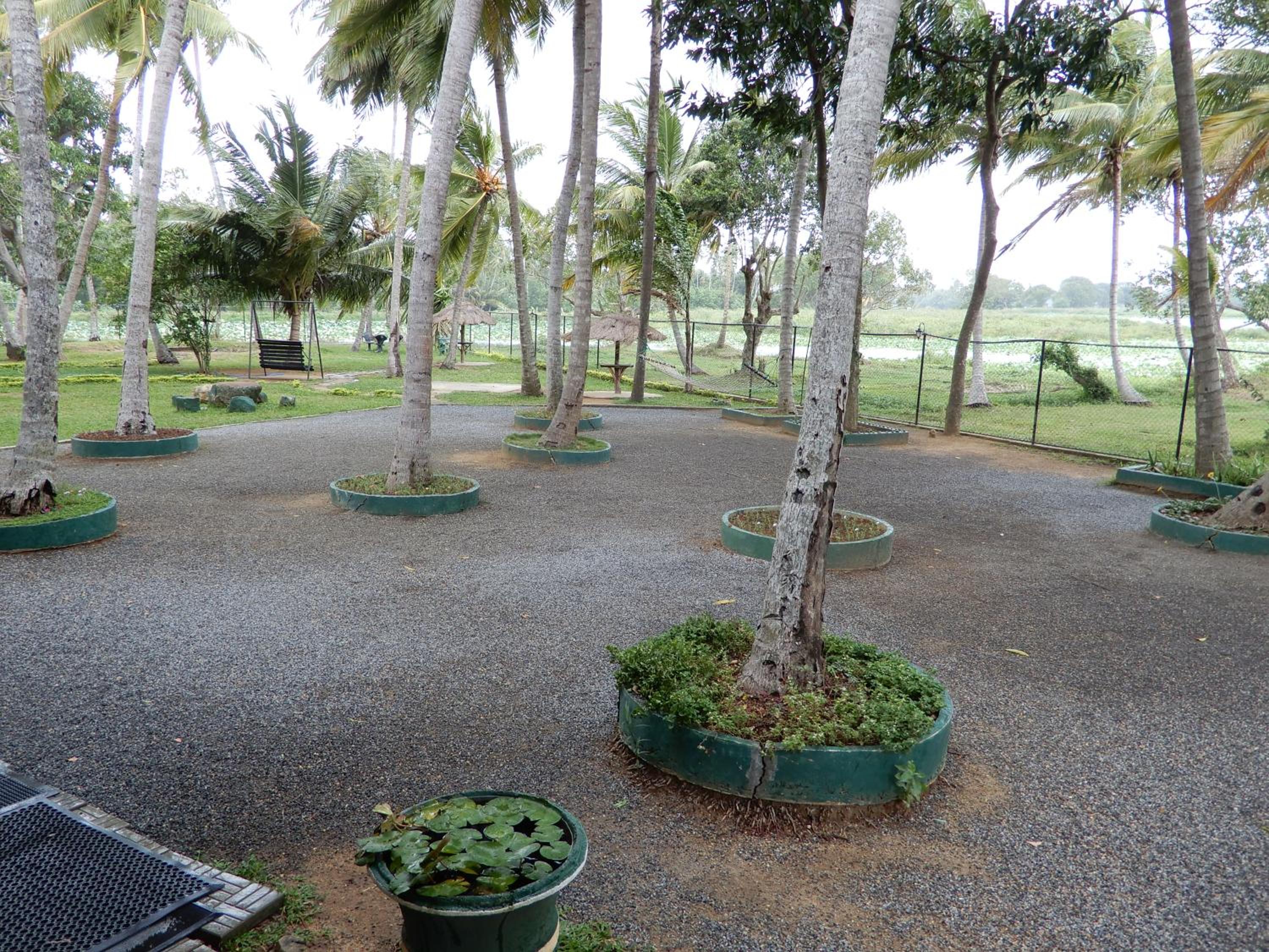 Photo 41