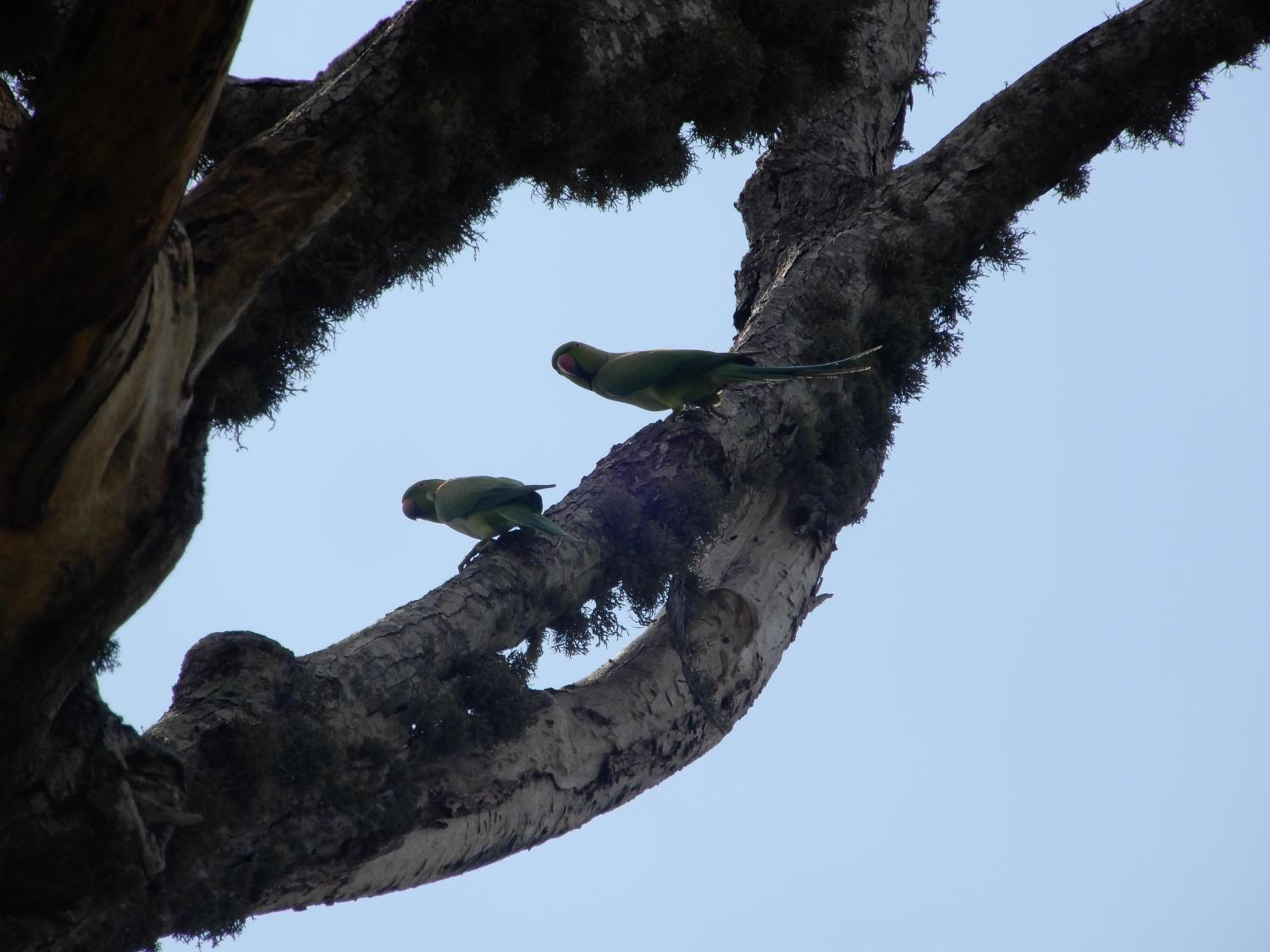 Photo 43