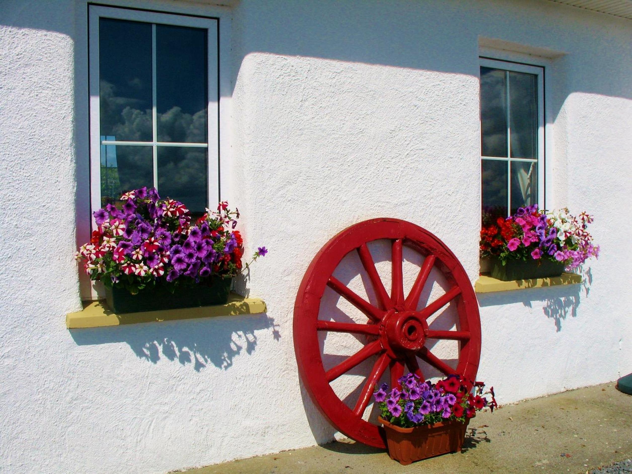 Breacan Cottage B&B