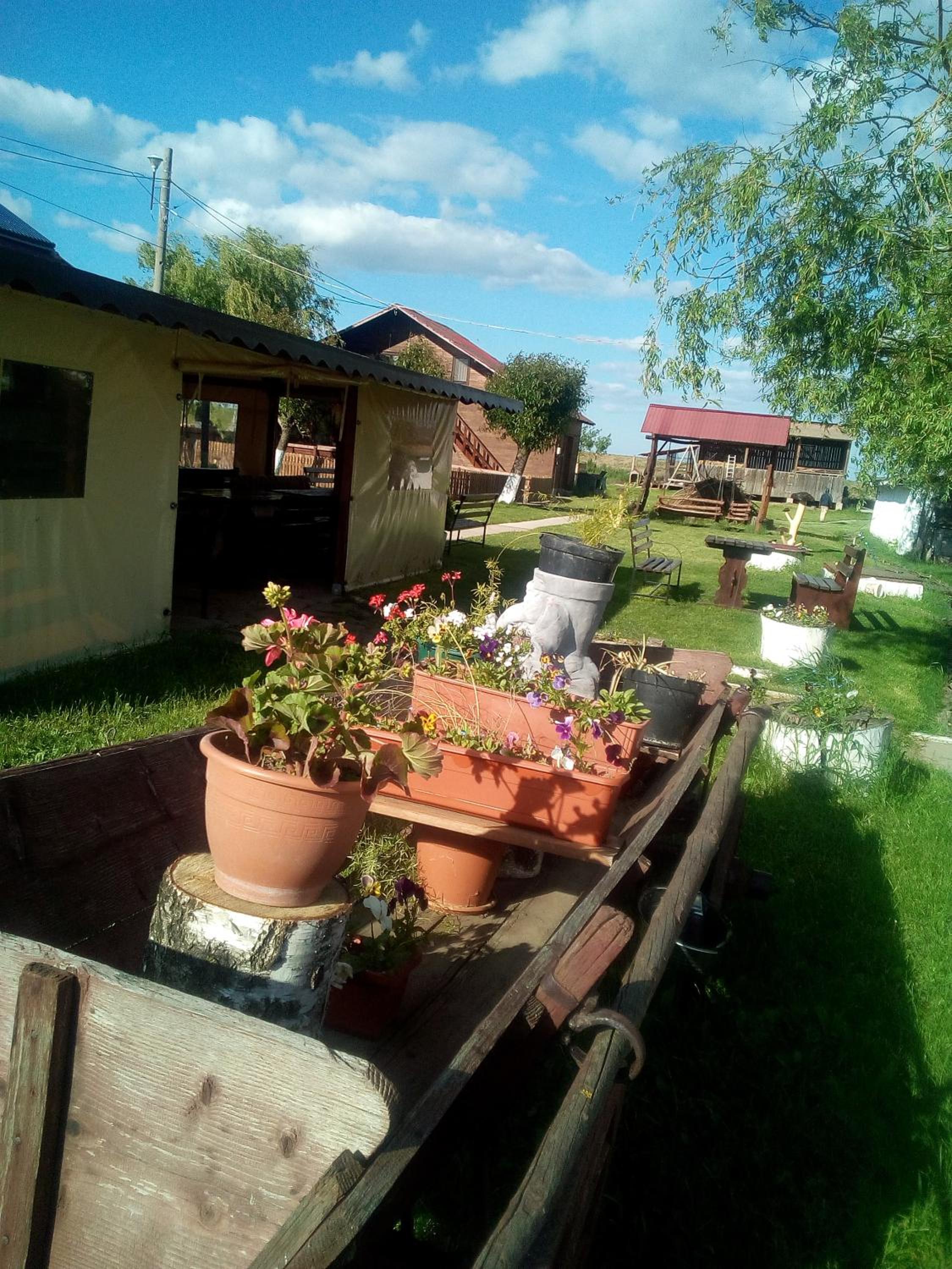 Photo 17