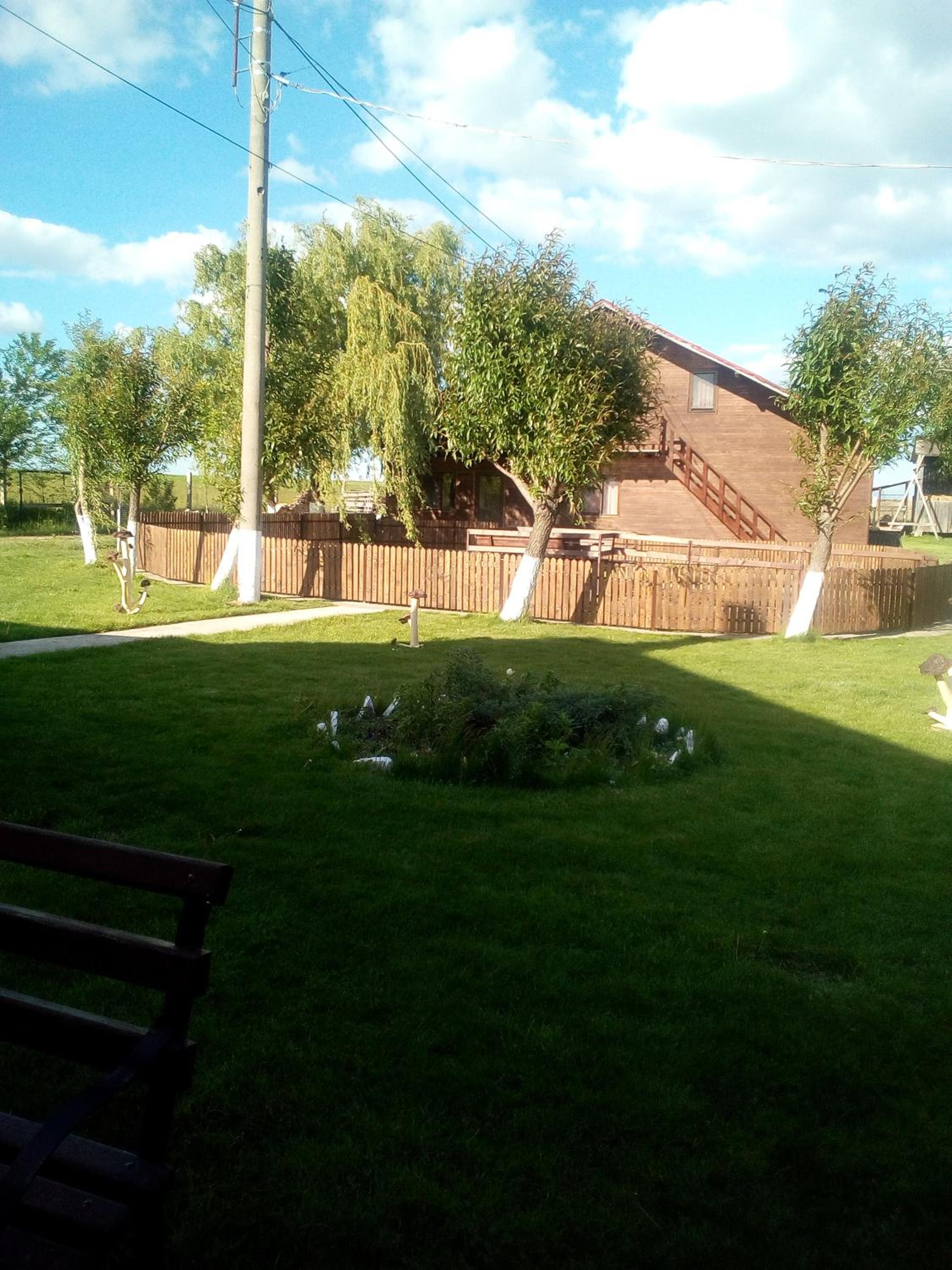 Photo 19