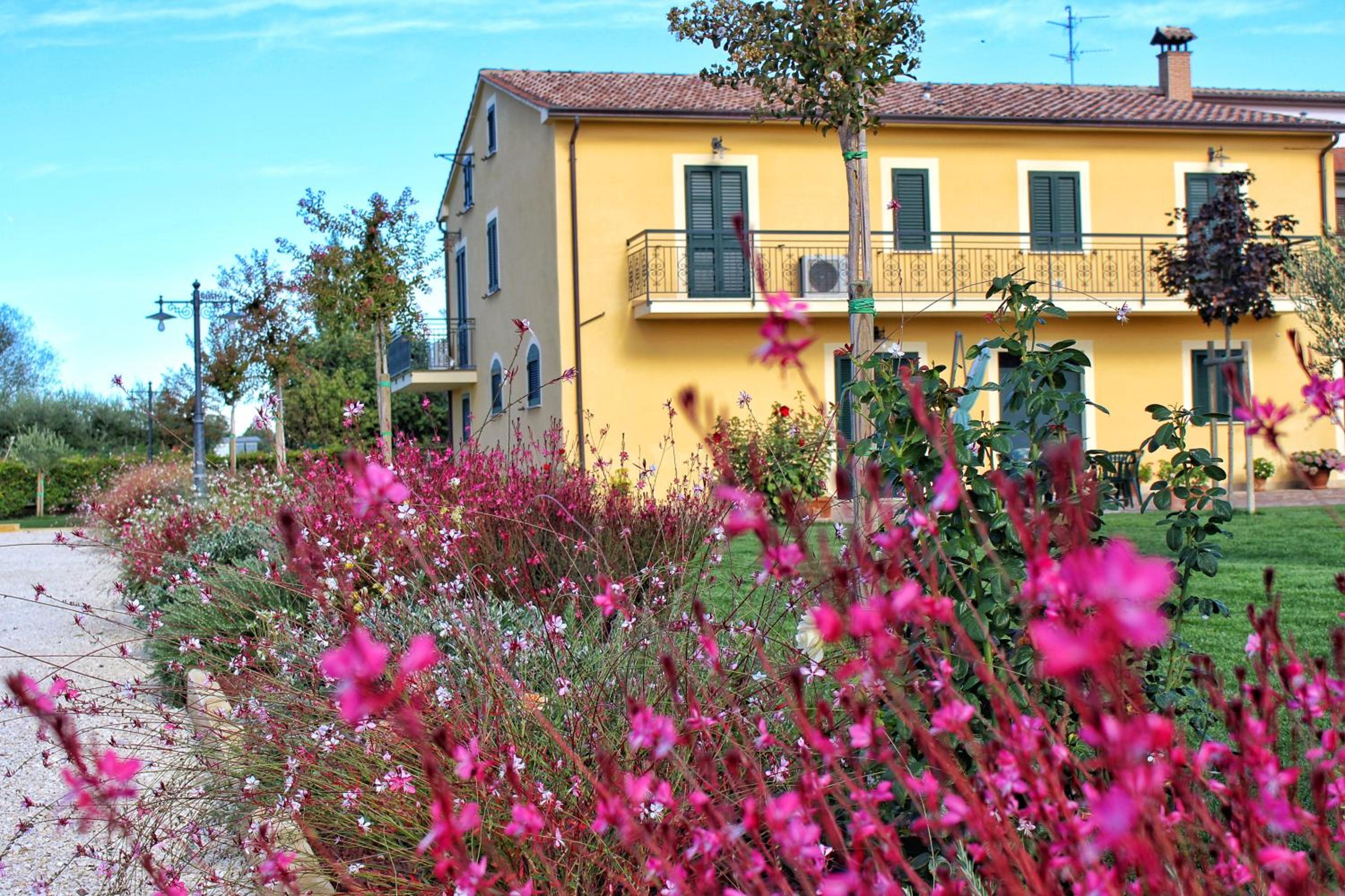 Photo 20