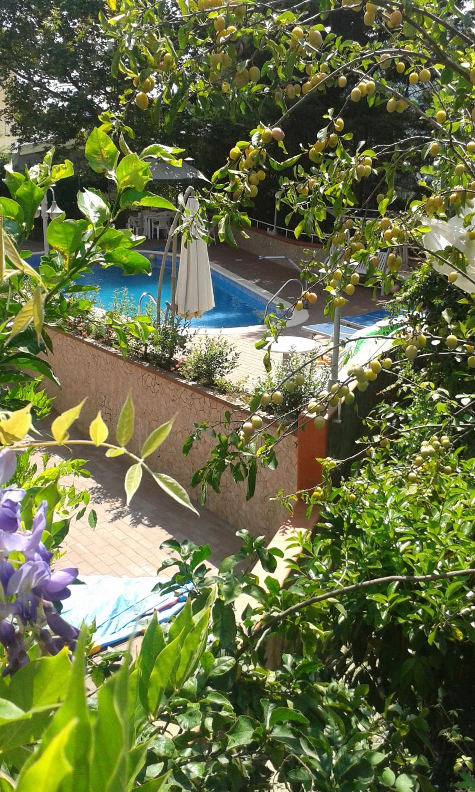 Villa Elvira view 5
