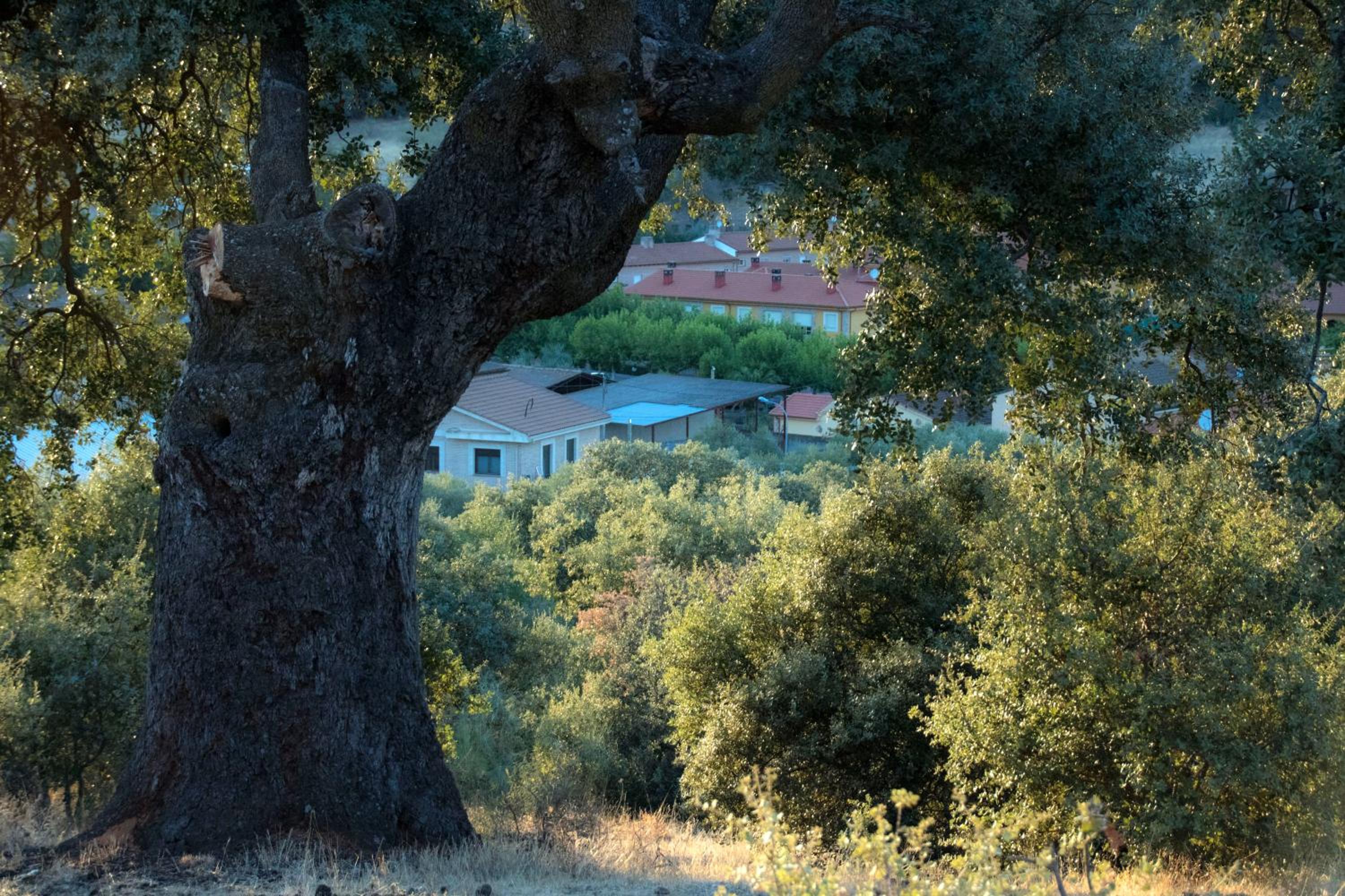 Photo 20