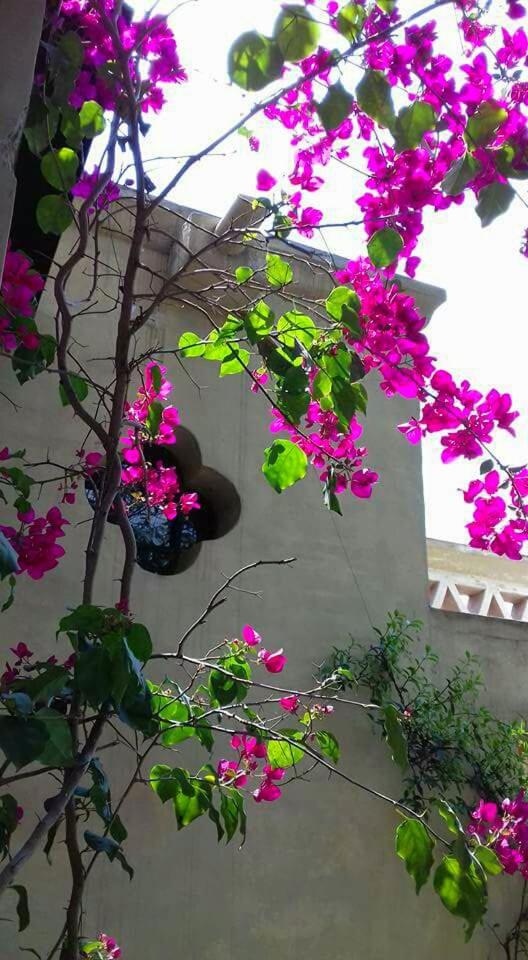 Los Tarcos Guest House