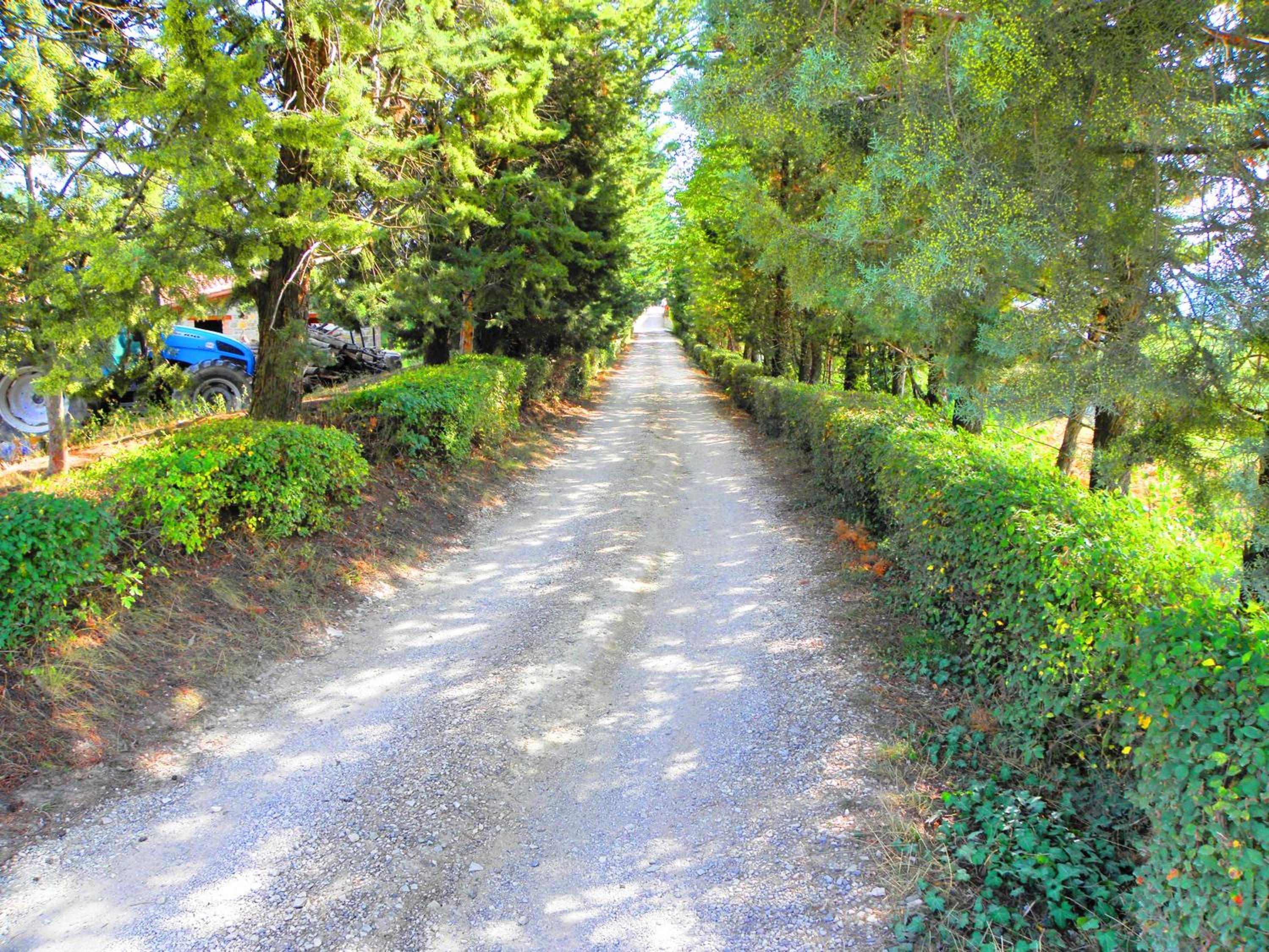 Photo 48