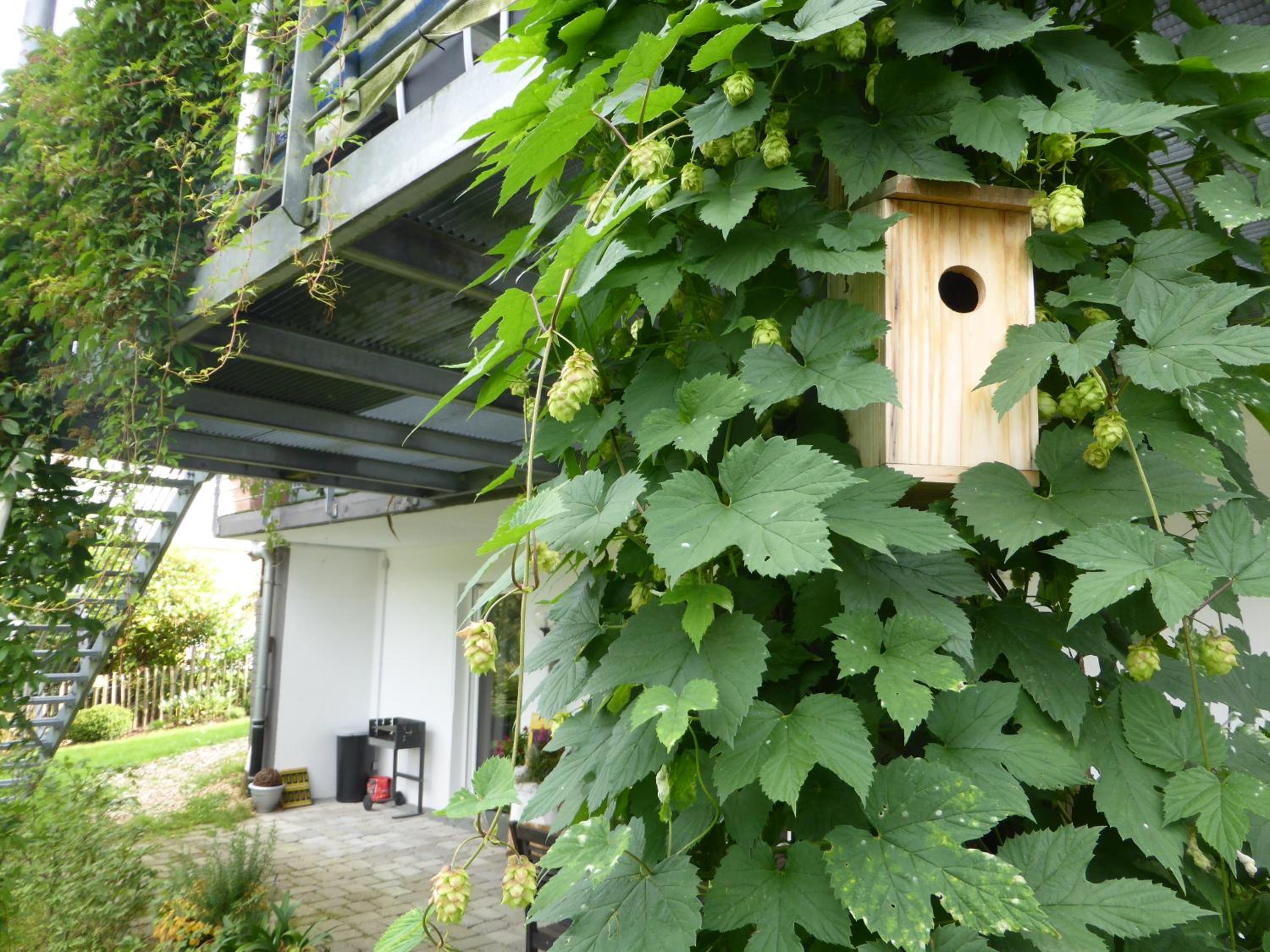 Das Nest Winterberg view 4
