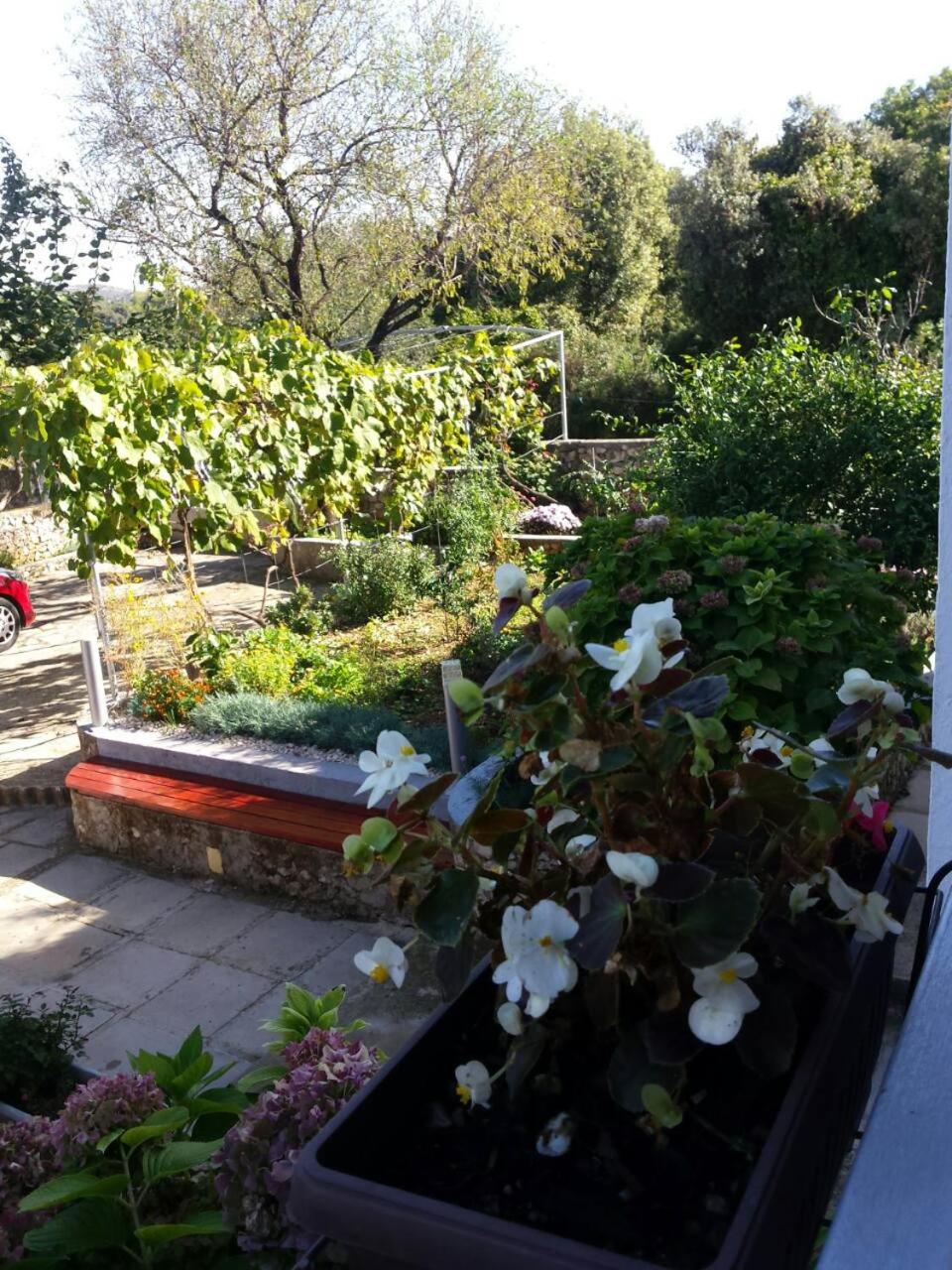 Photo 20