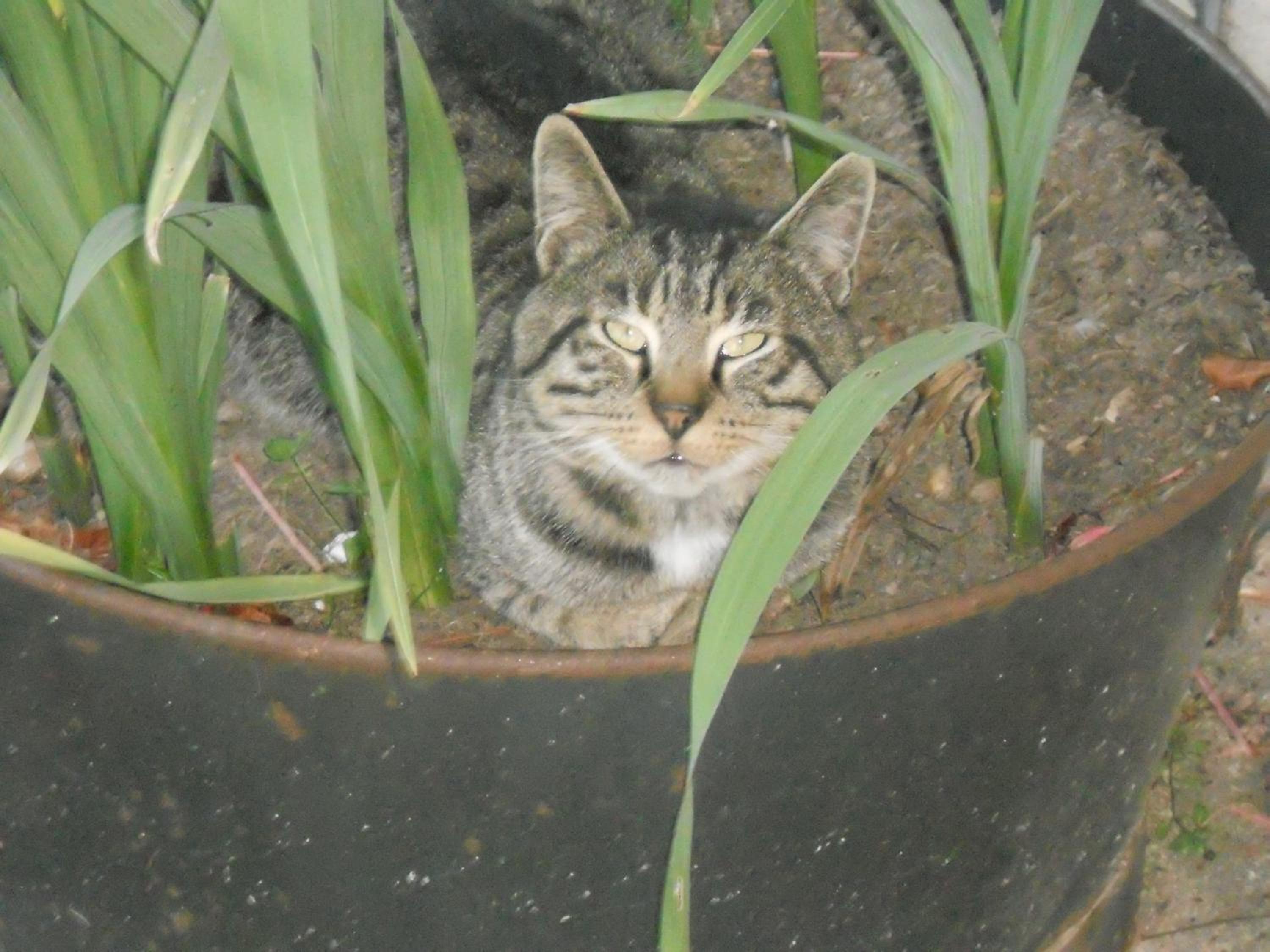 Ferme les Rousseaux view 4