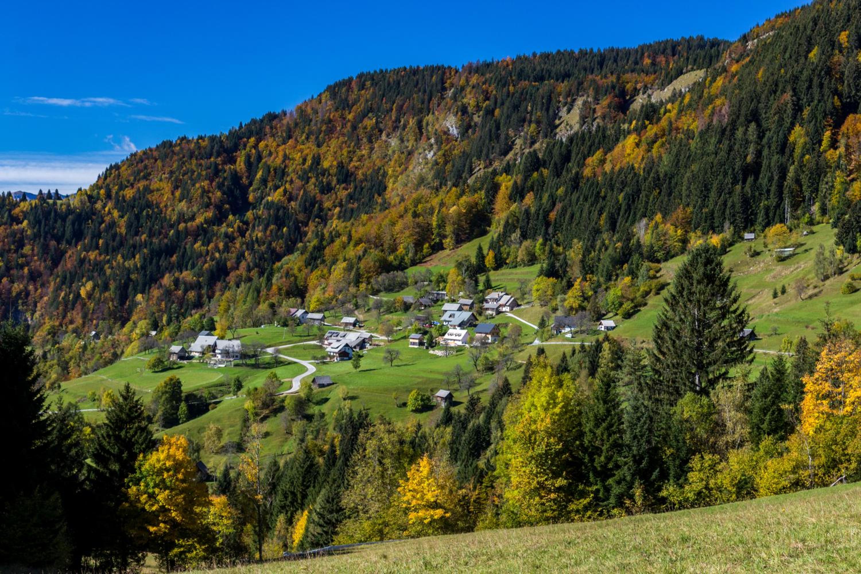 Holiday house Pokrovec - Bohinj view 4