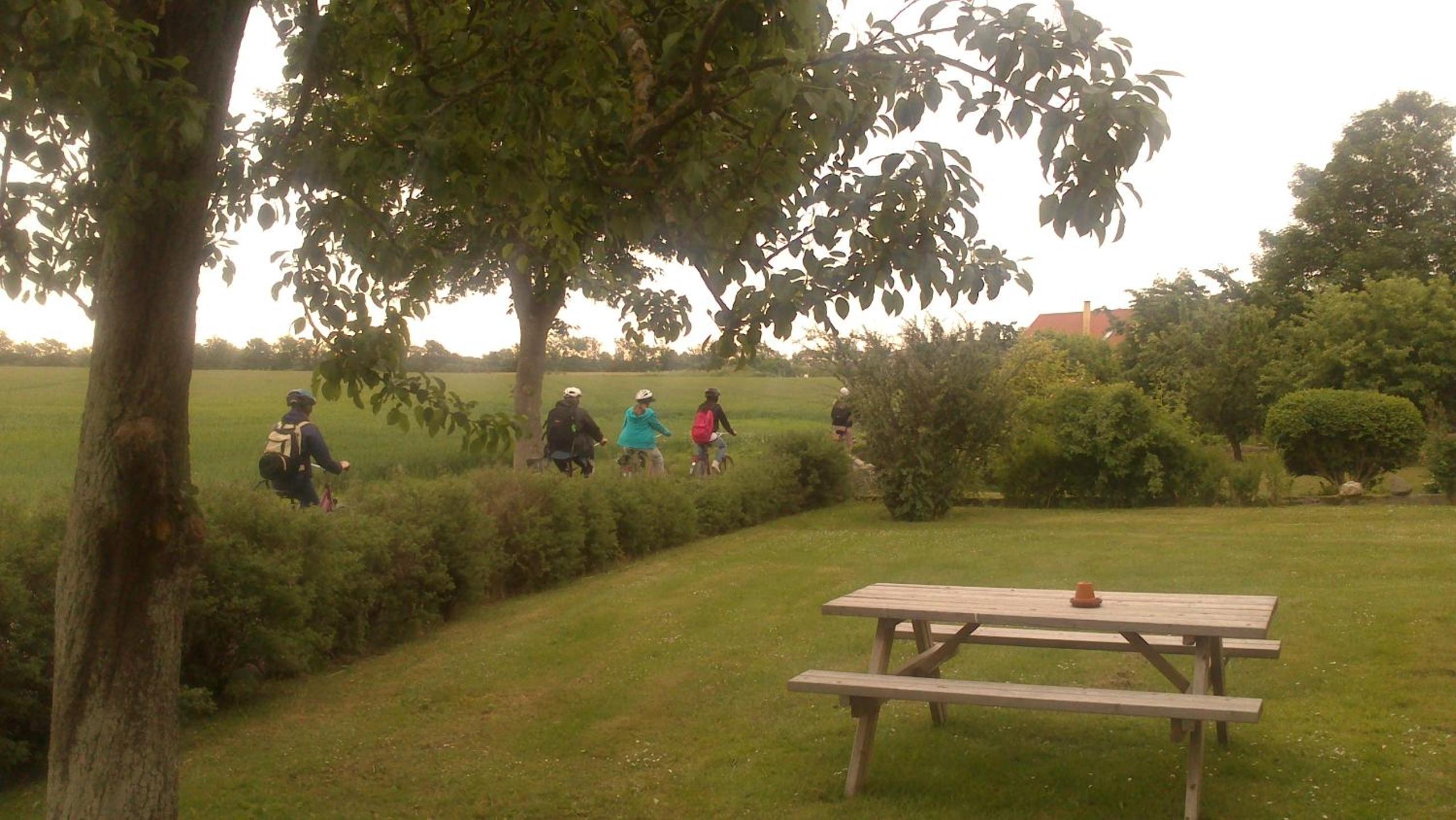 Photo 9