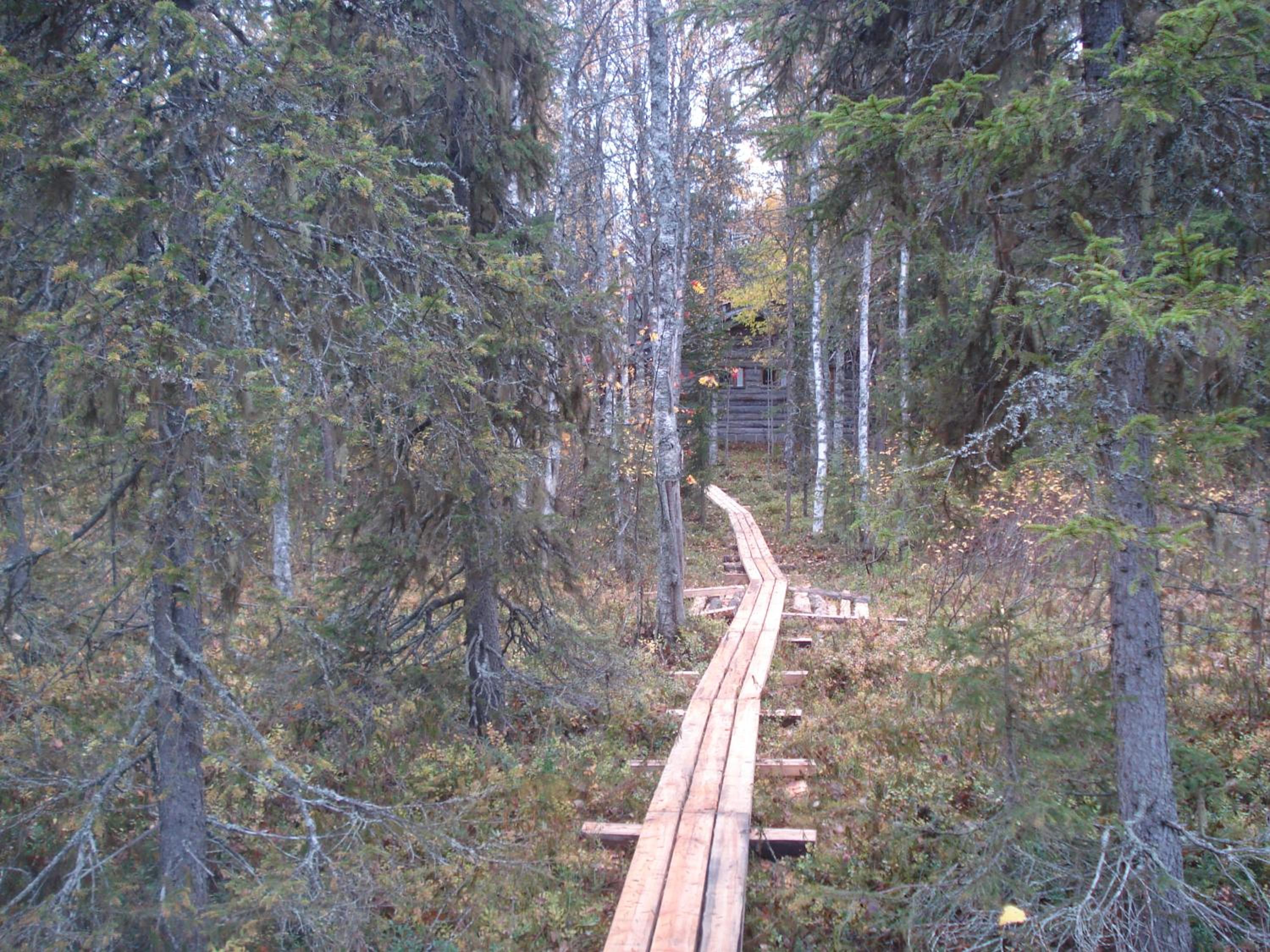 Photo 56