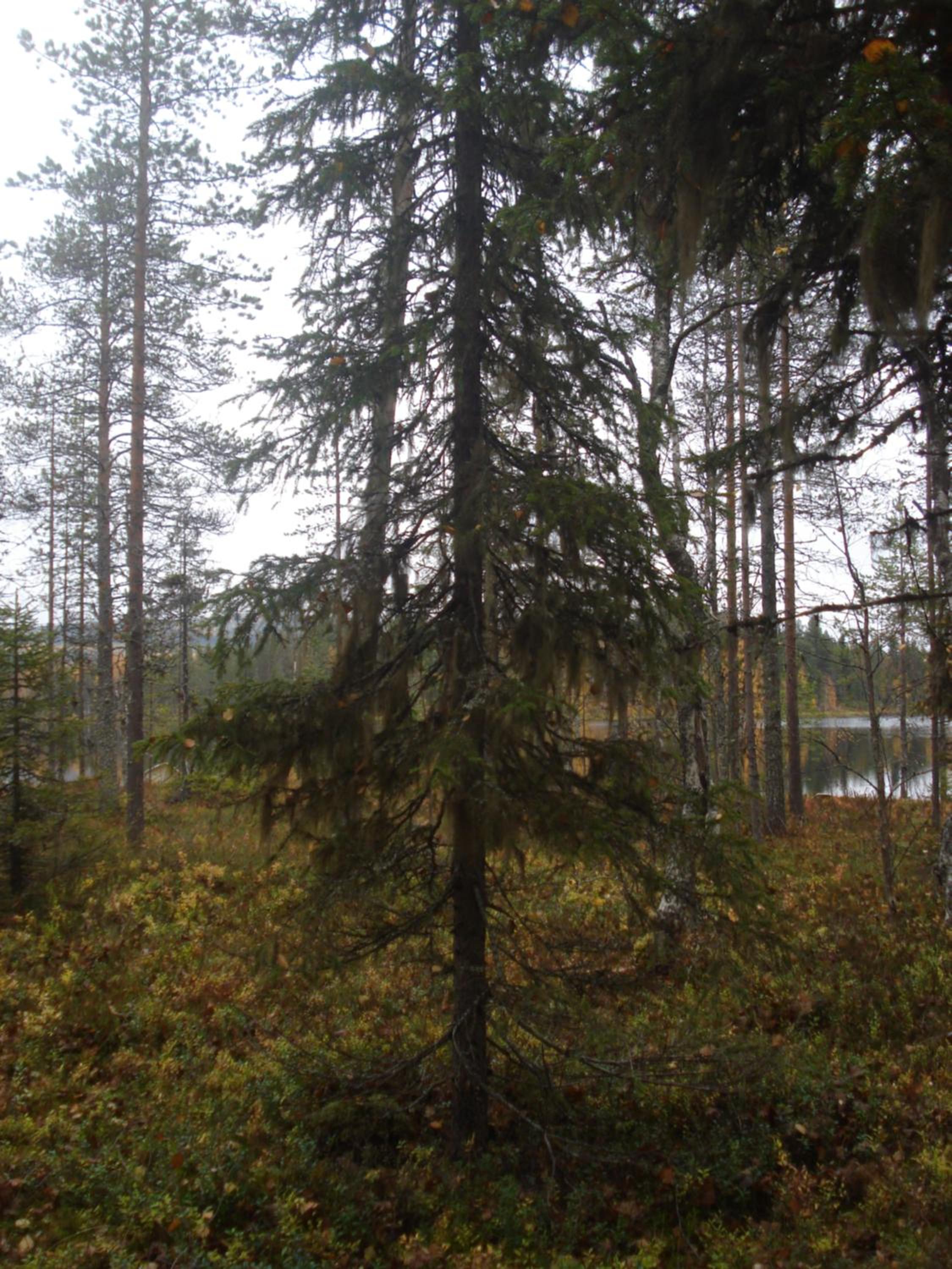 Photo 110