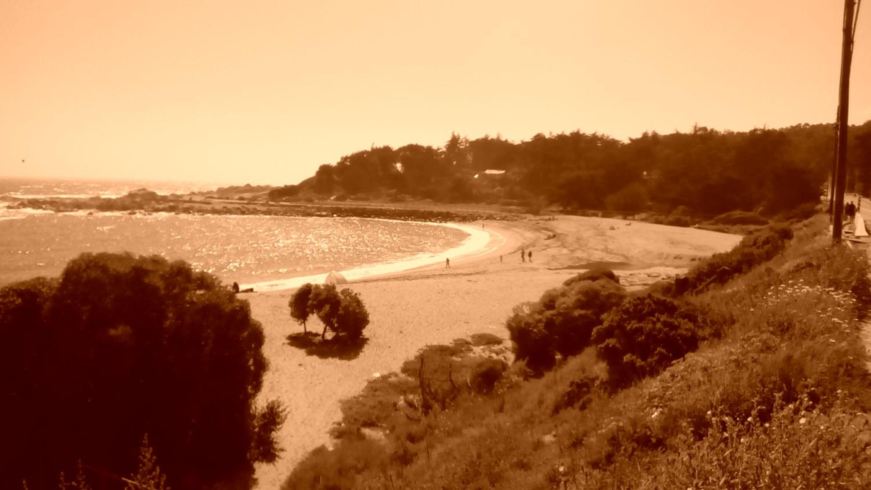 Photo 43