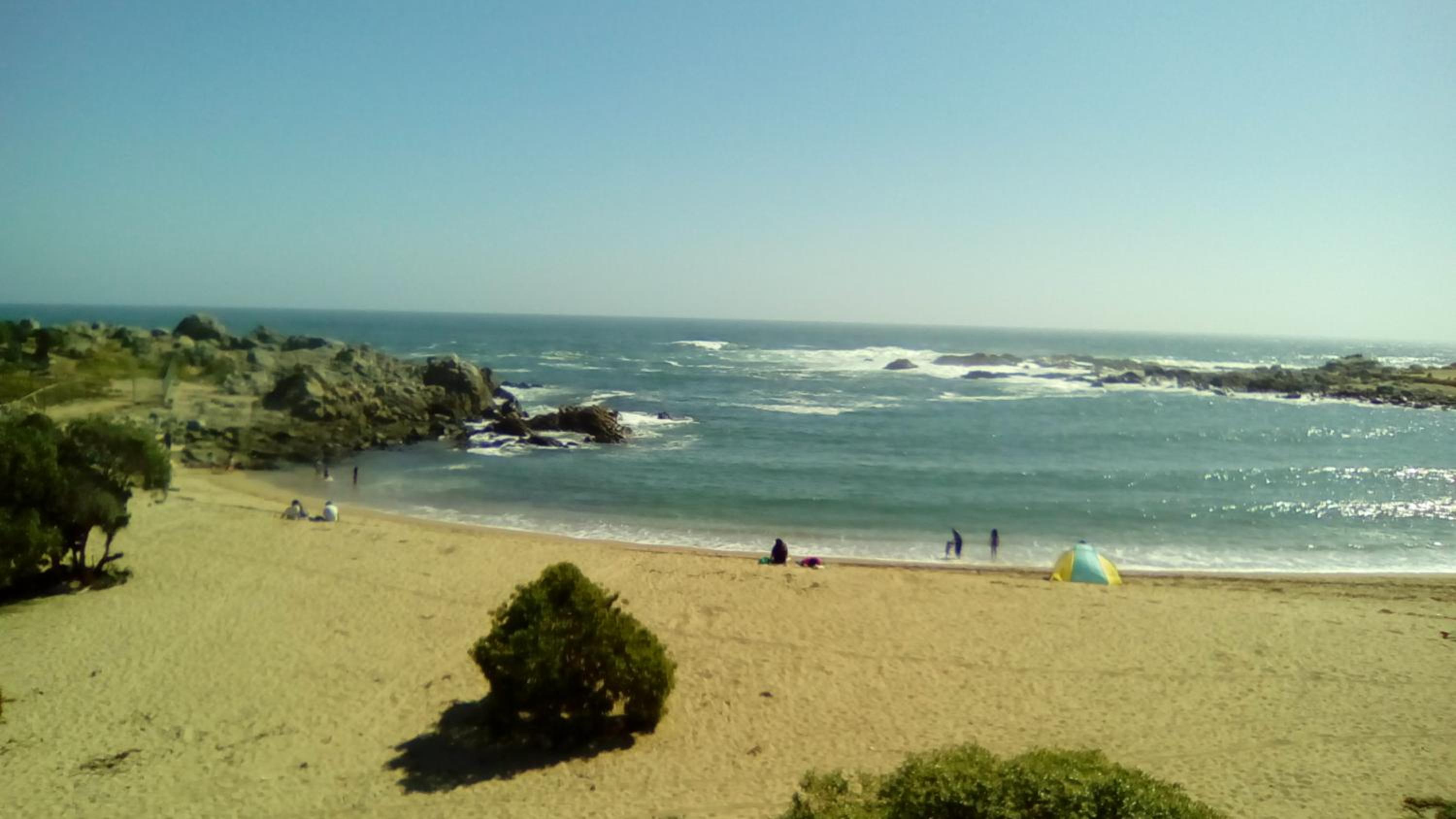 Photo 41
