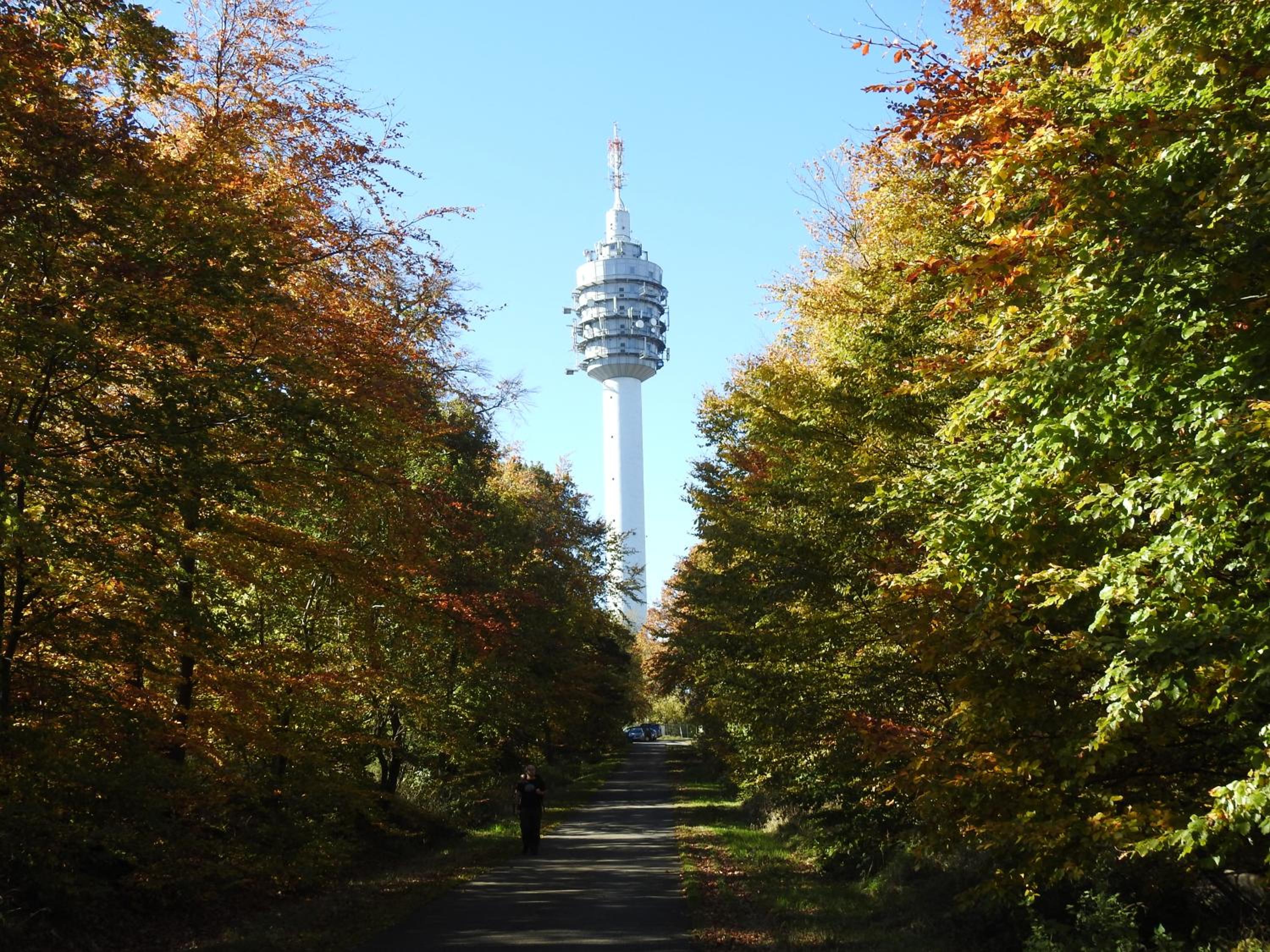 Alte Mühle Kelbra - ehemalig ALBIG