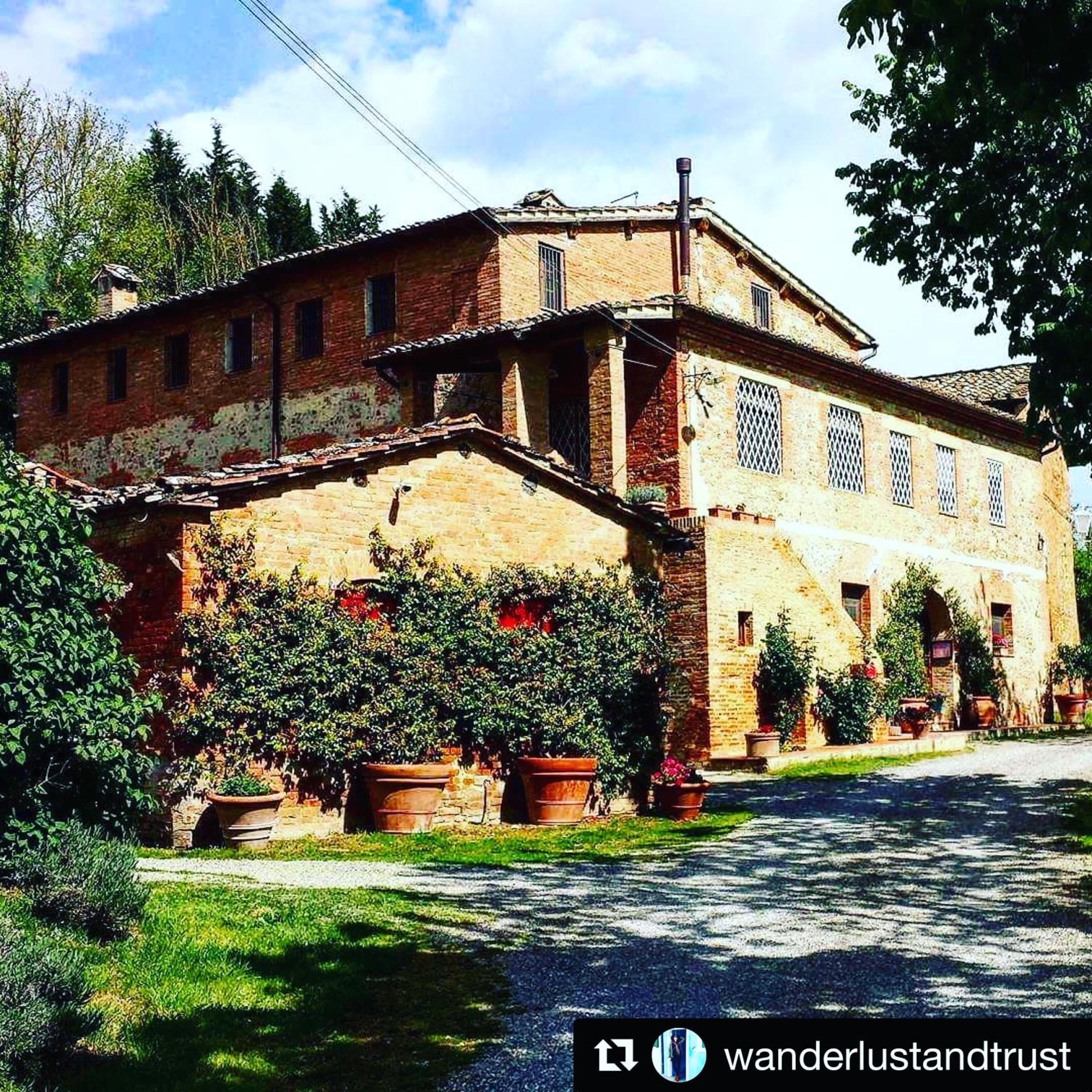 Fattoria Le Pietre Vive di Montaperti view 5