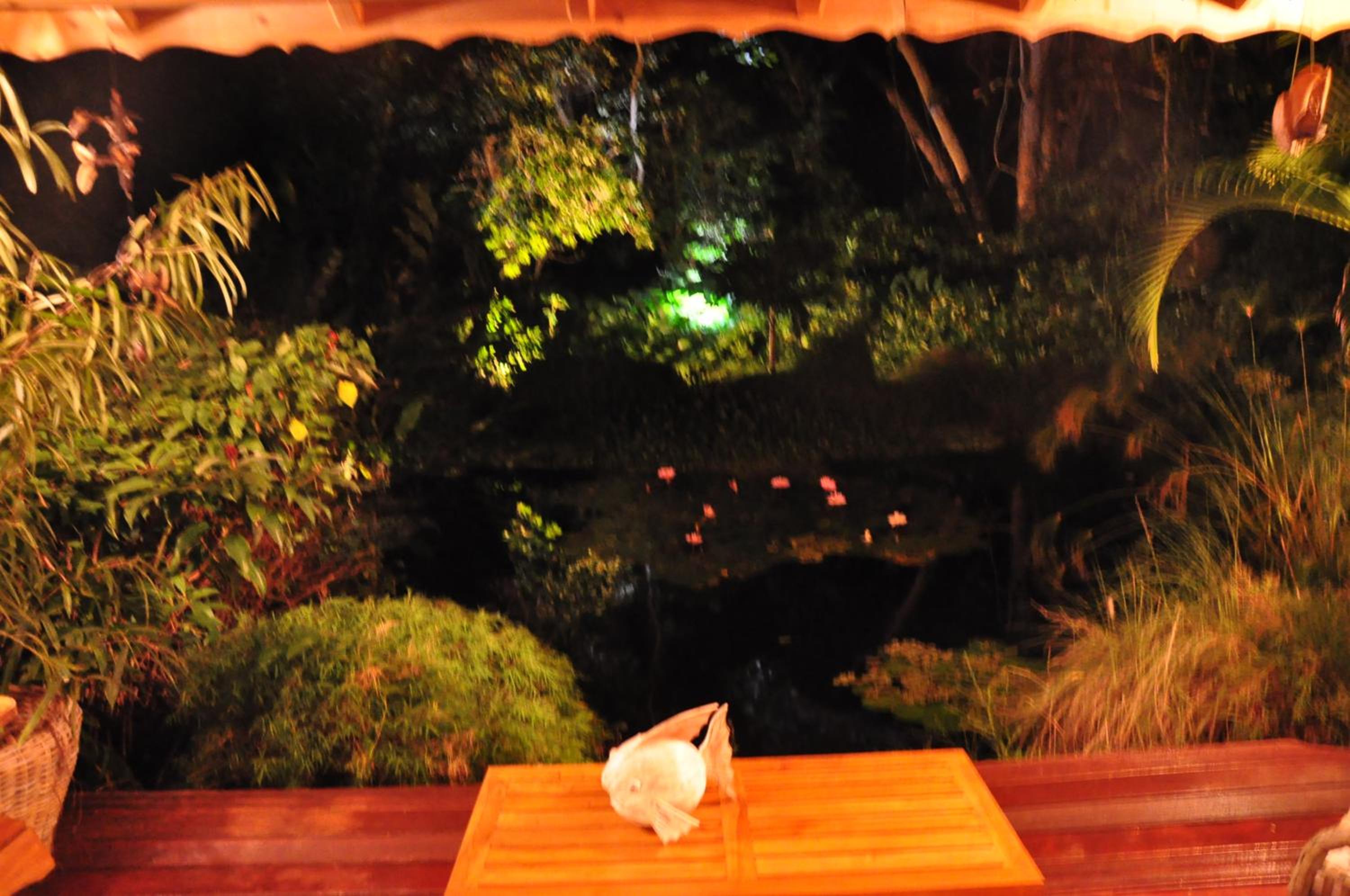 West Indies Cottage, cottages haut de gamme avec piscine, jacuzzi et vue jungle