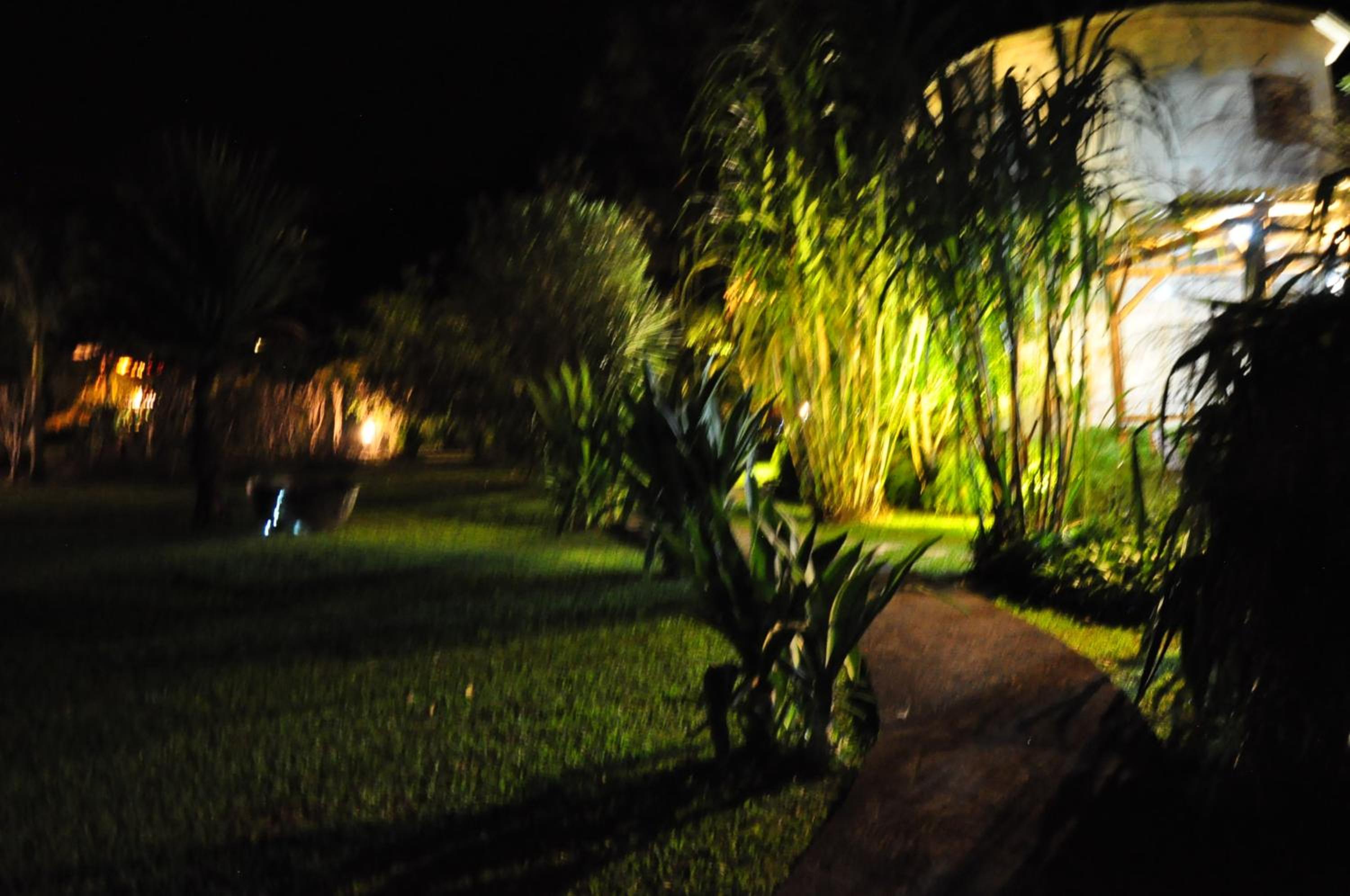 West Indies Cottage, cottages haut de gamme avec piscine, jacuzzi et vue jungle