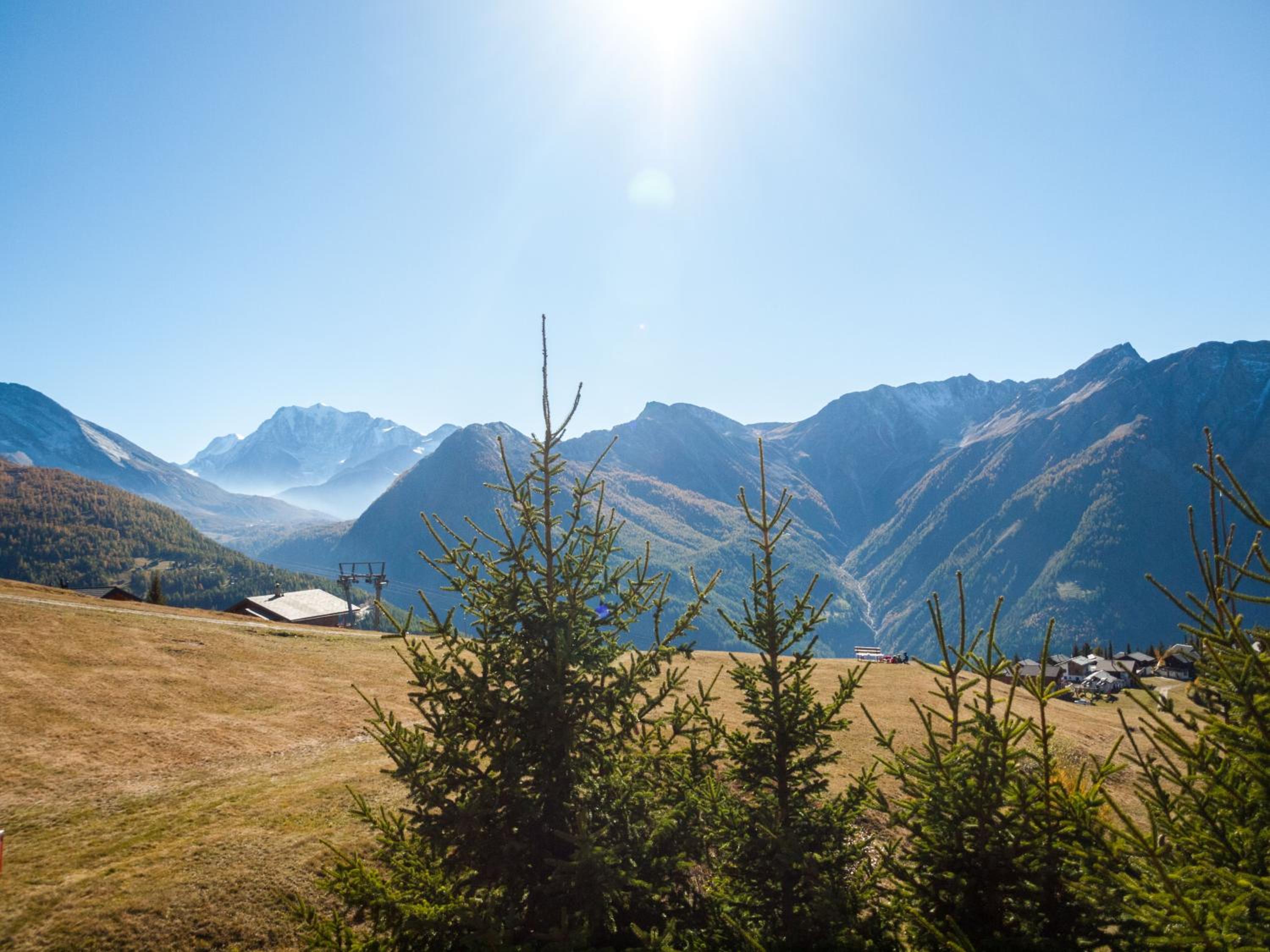 Chalet Fridi
