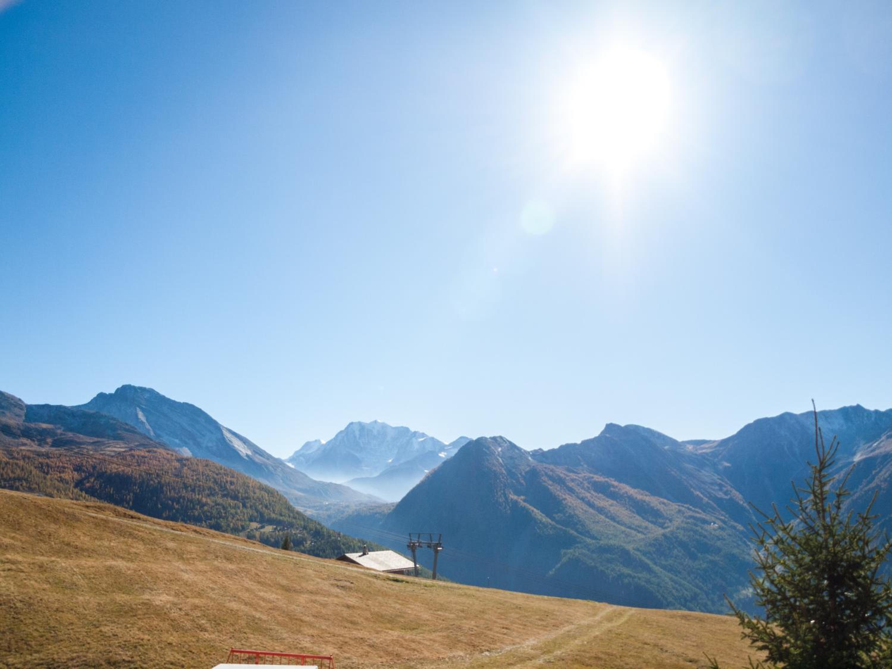 Chalet Fridi