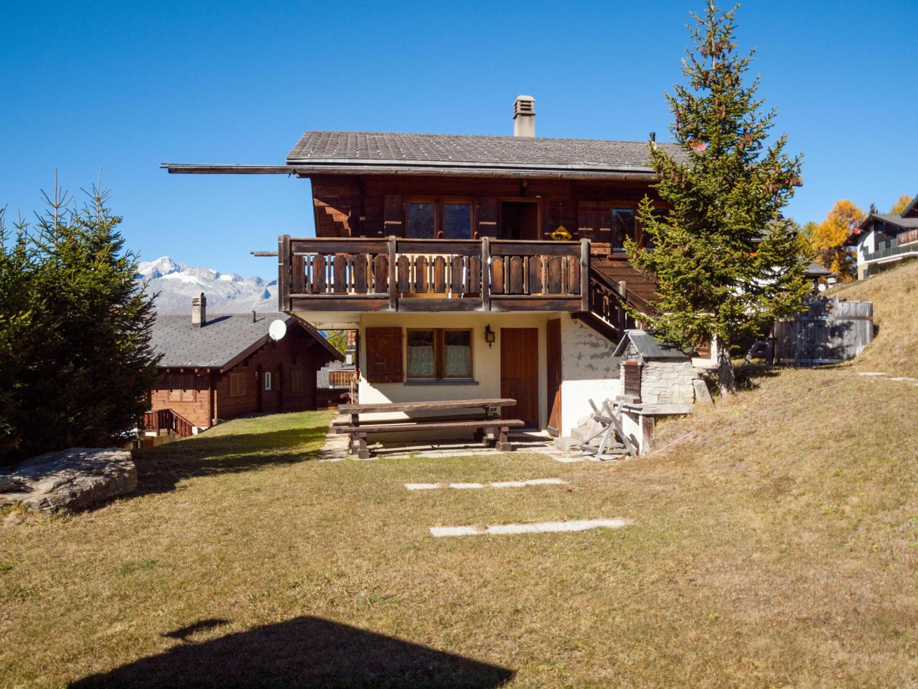 Chalet Fridi