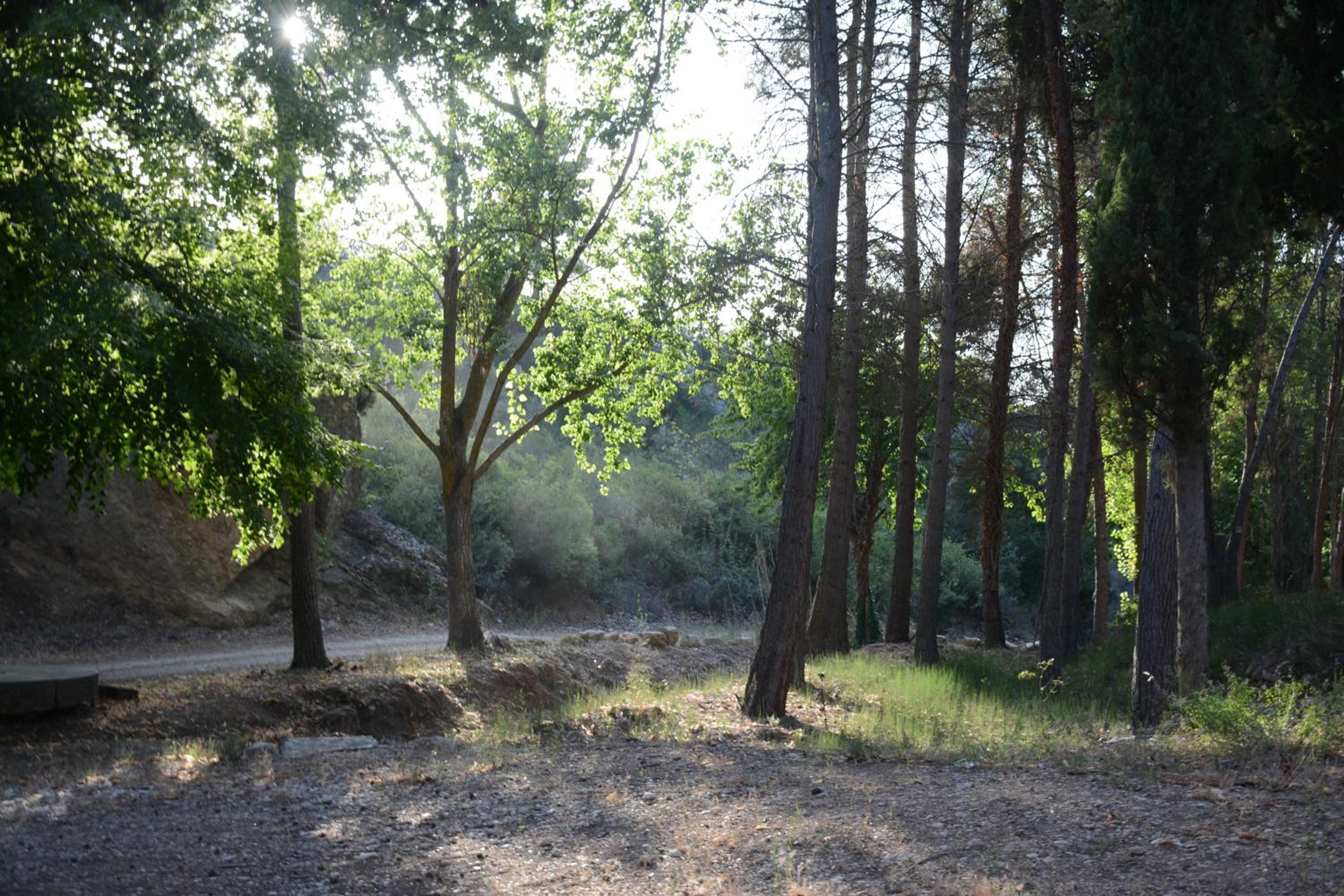 Photo 29