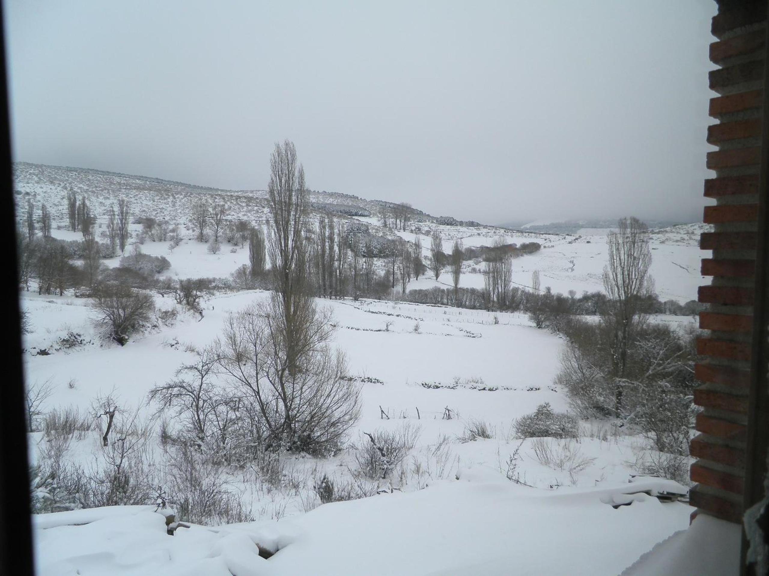 Photo 42