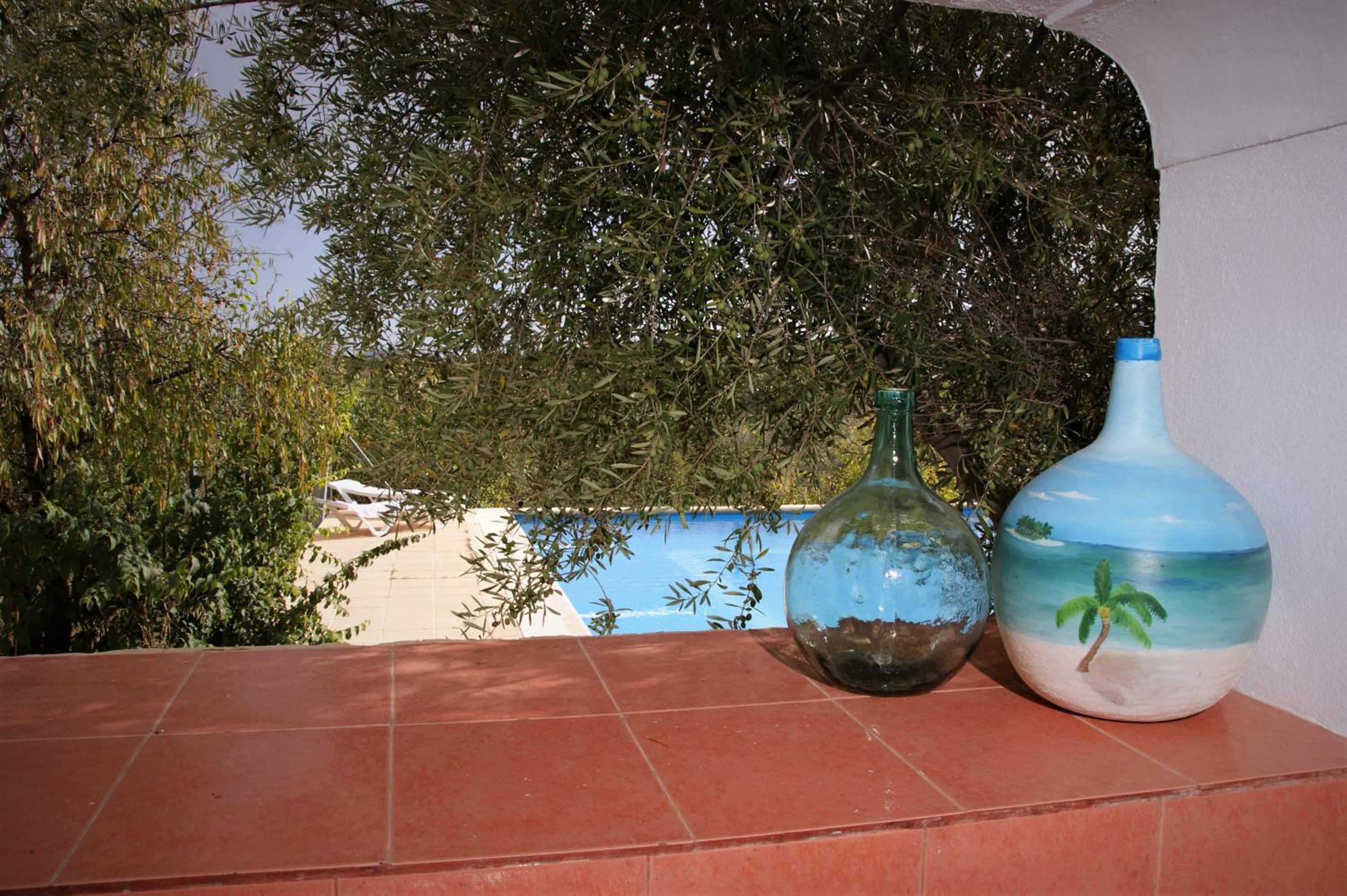 Cortijo El Álamo photo 2